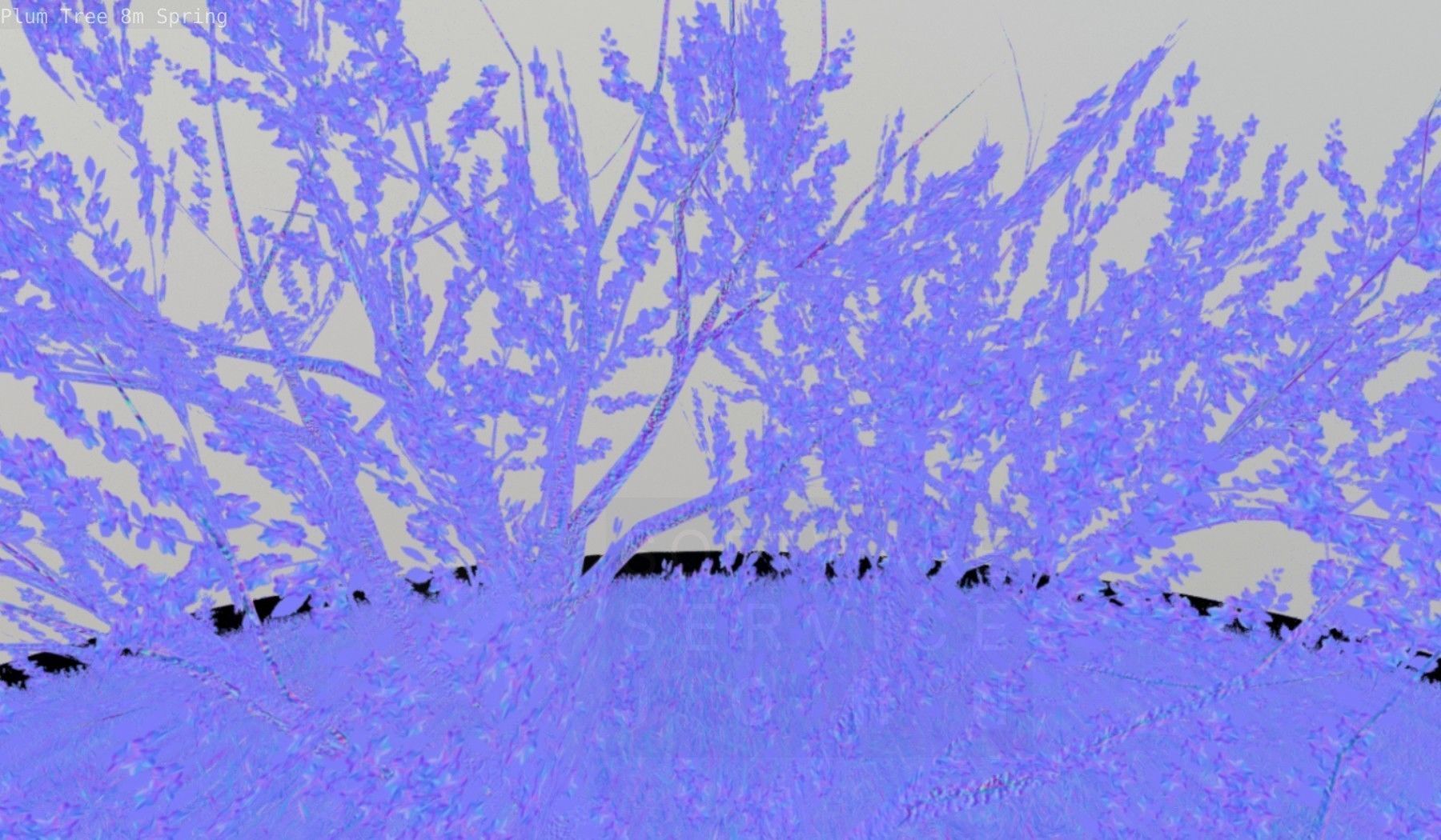 Plum Trees 8m Spring Low-poly 3D model_124