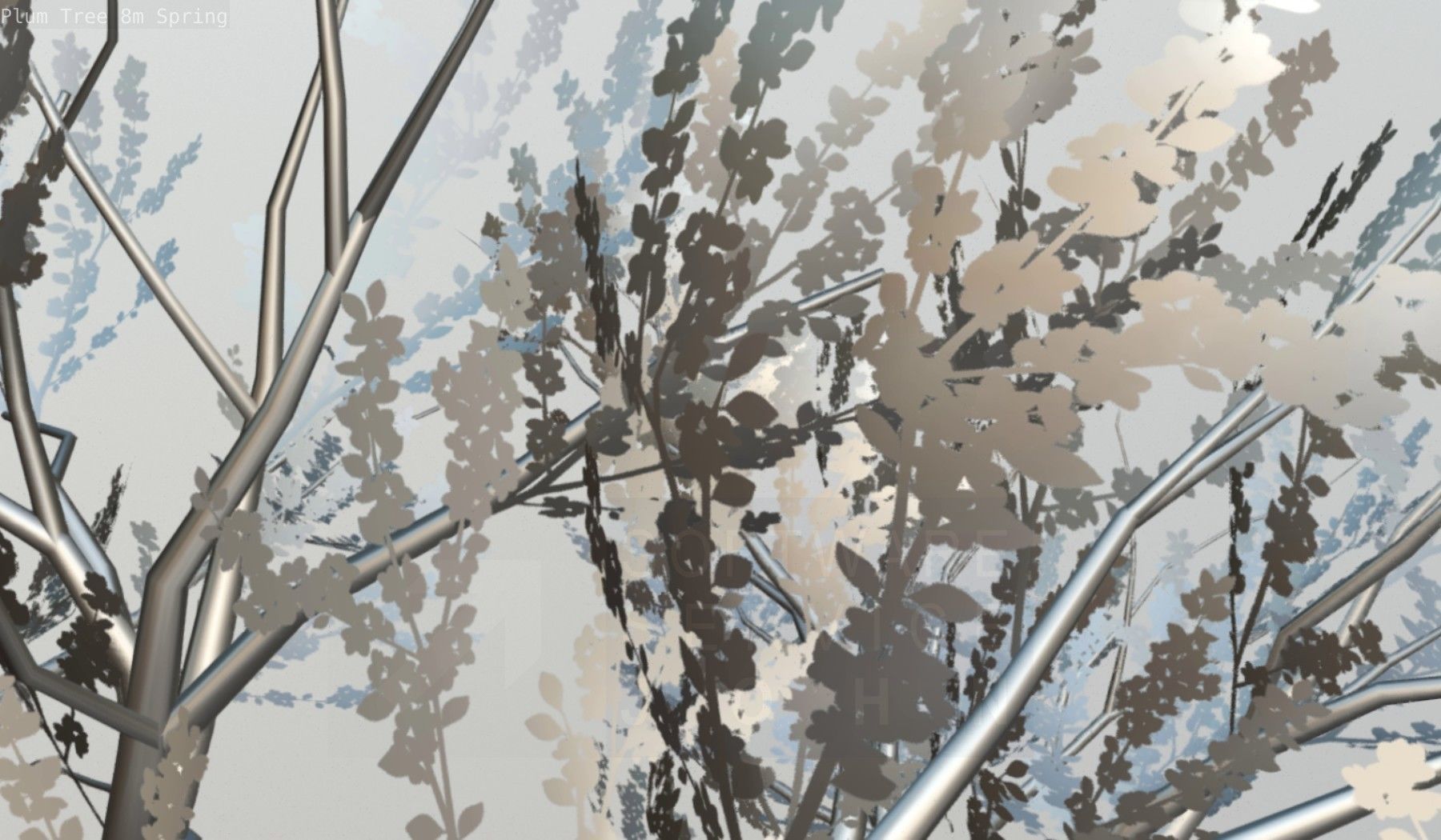 Plum Trees 8m Spring Low-poly 3D model_102