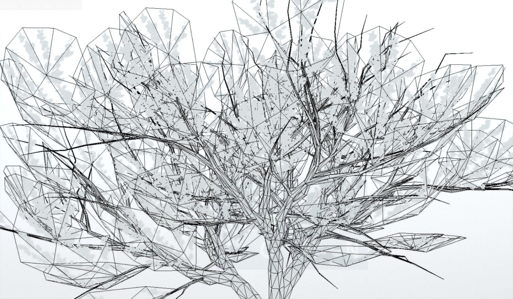 Plum Trees 8m Spring Low-poly 3D model_125