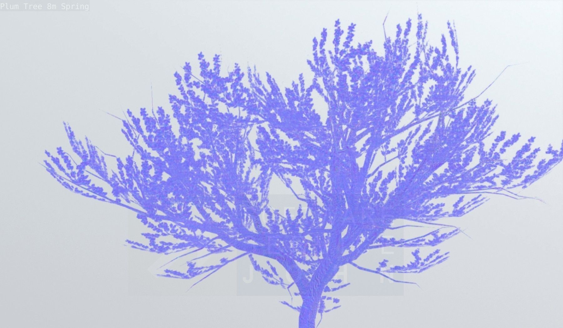 Plum Trees 8m Spring Low-poly 3D model_90