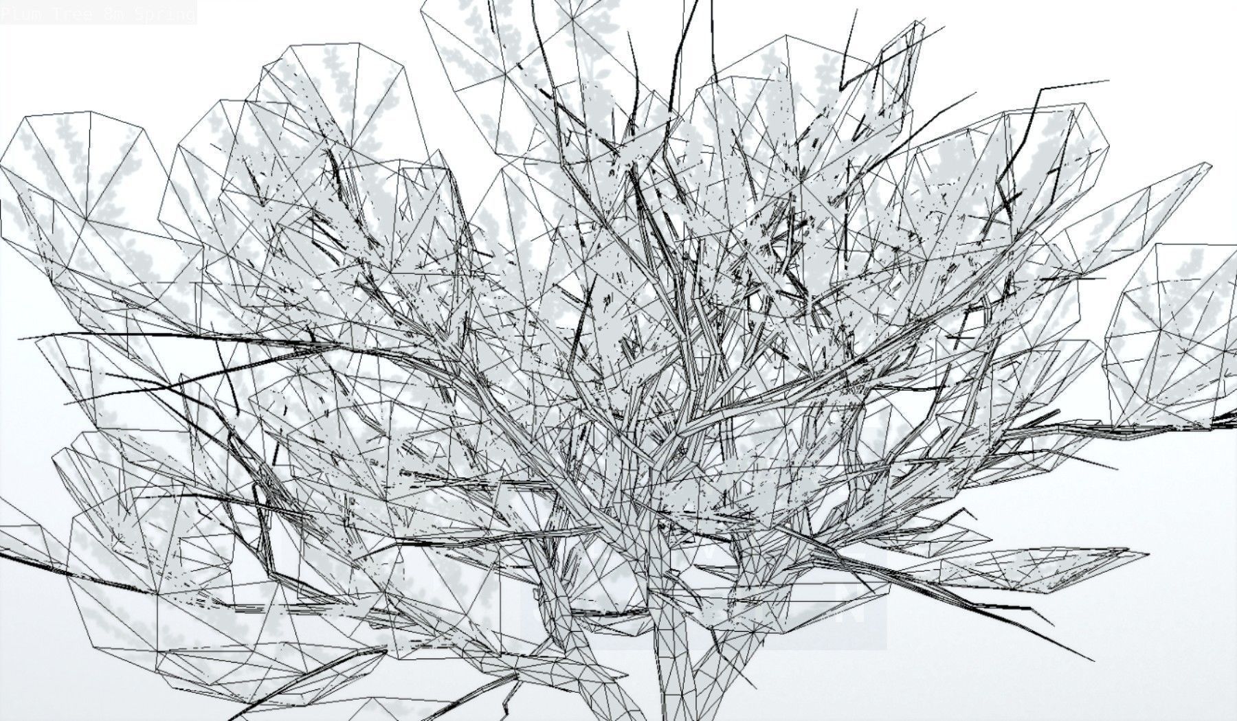 Plum Trees 8m Spring Low-poly 3D model_127