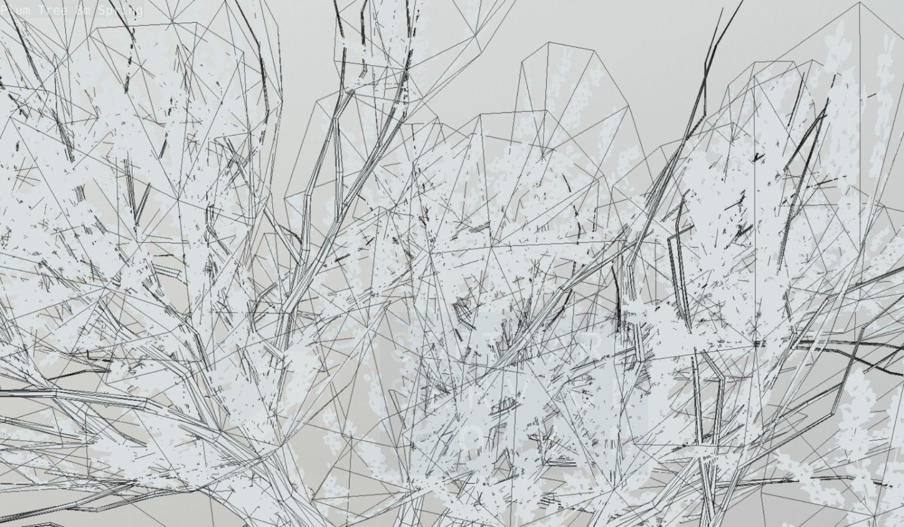 Plum Trees 8m Spring Low-poly 3D model_115