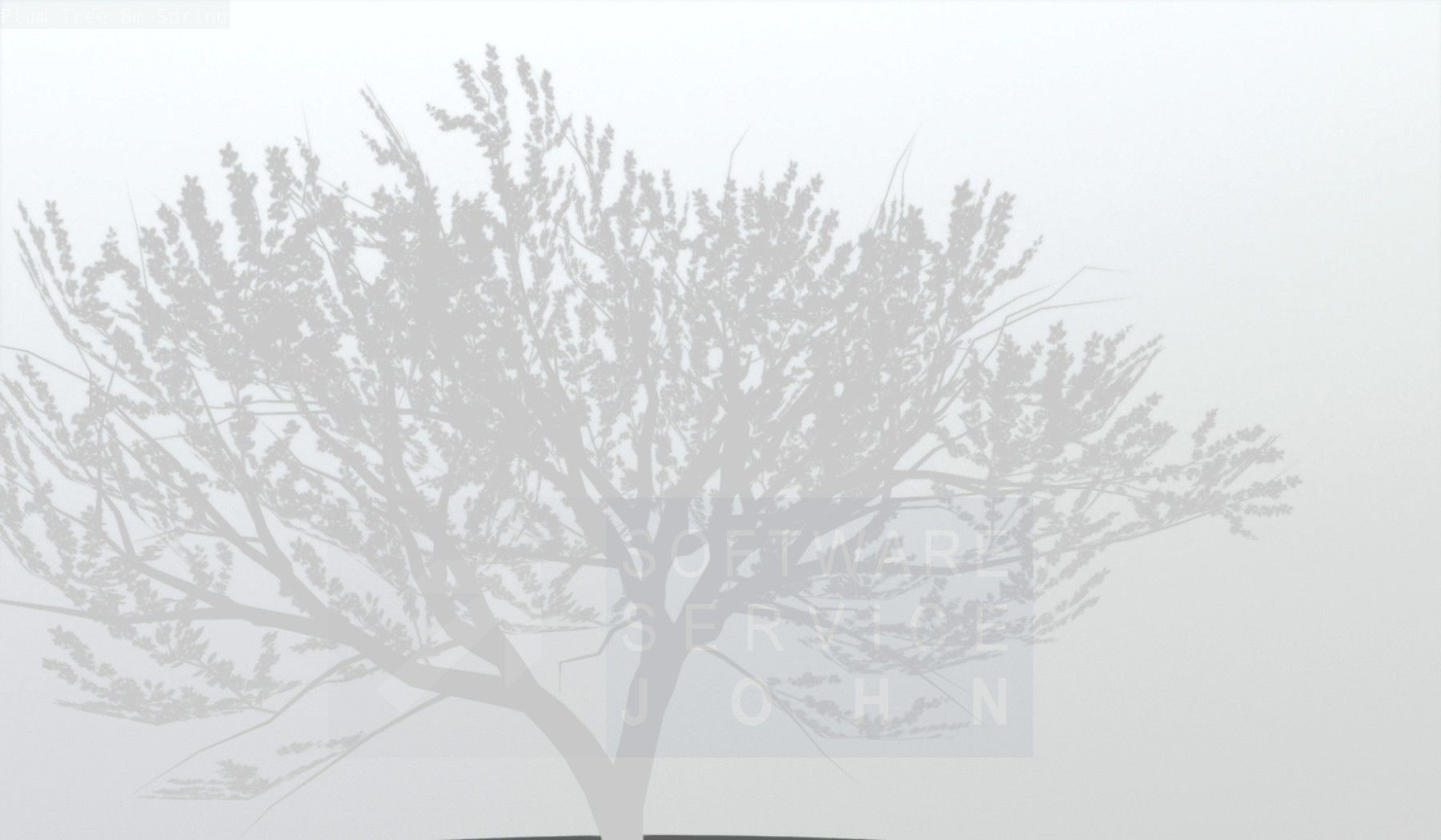Plum Trees 8m Spring Low-poly 3D model_88
