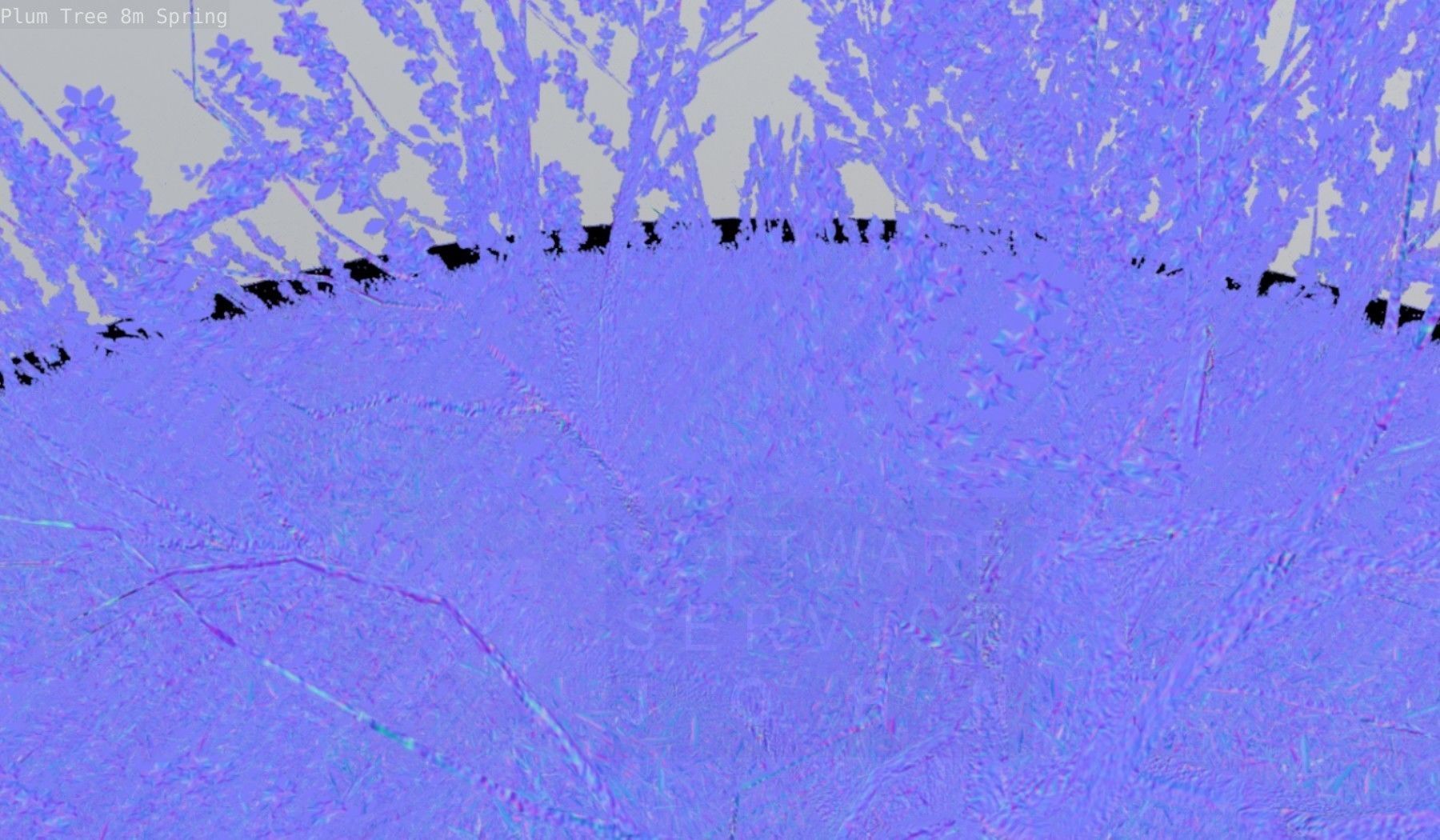 Plum Trees 8m Spring Low-poly 3D model_96