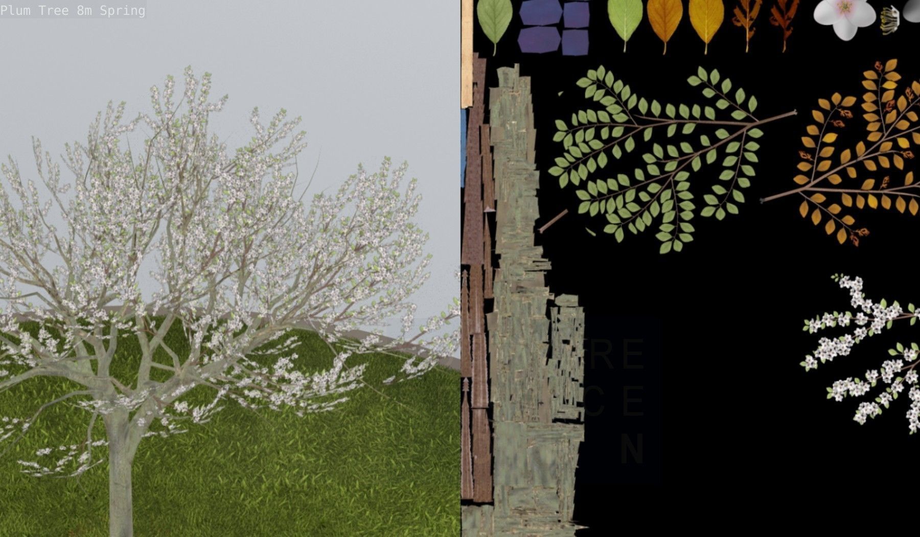 Plum Trees 8m Spring Low-poly 3D model_92