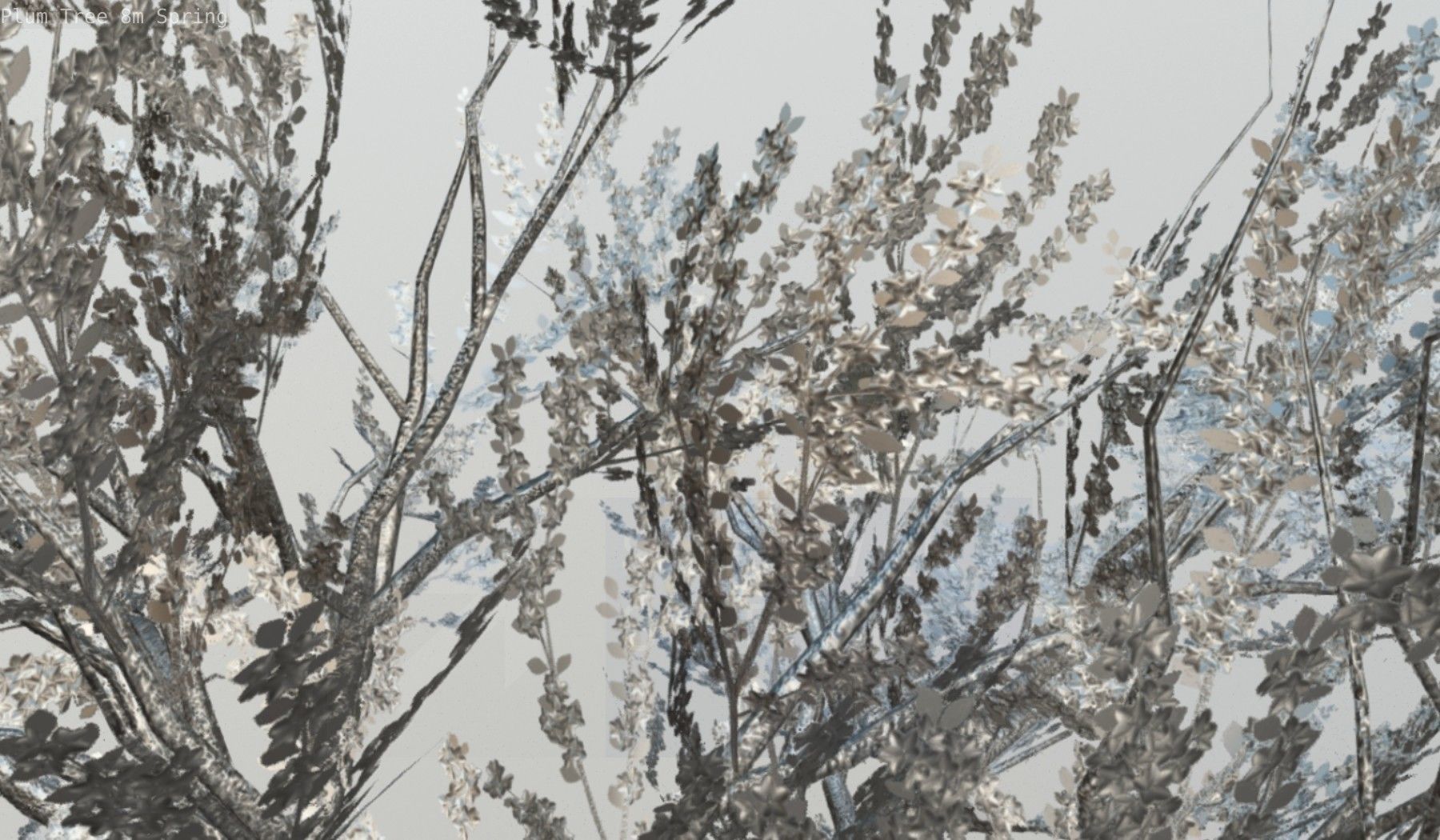 Plum Trees 8m Spring Low-poly 3D model_74