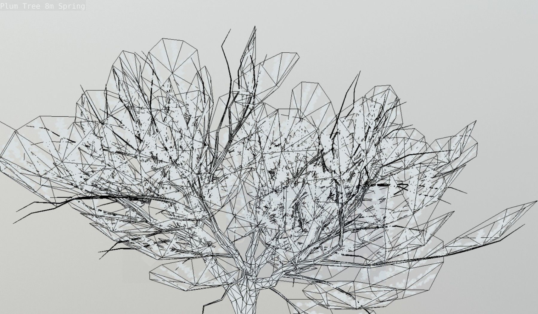 Plum Trees 8m Spring Low-poly 3D model_121