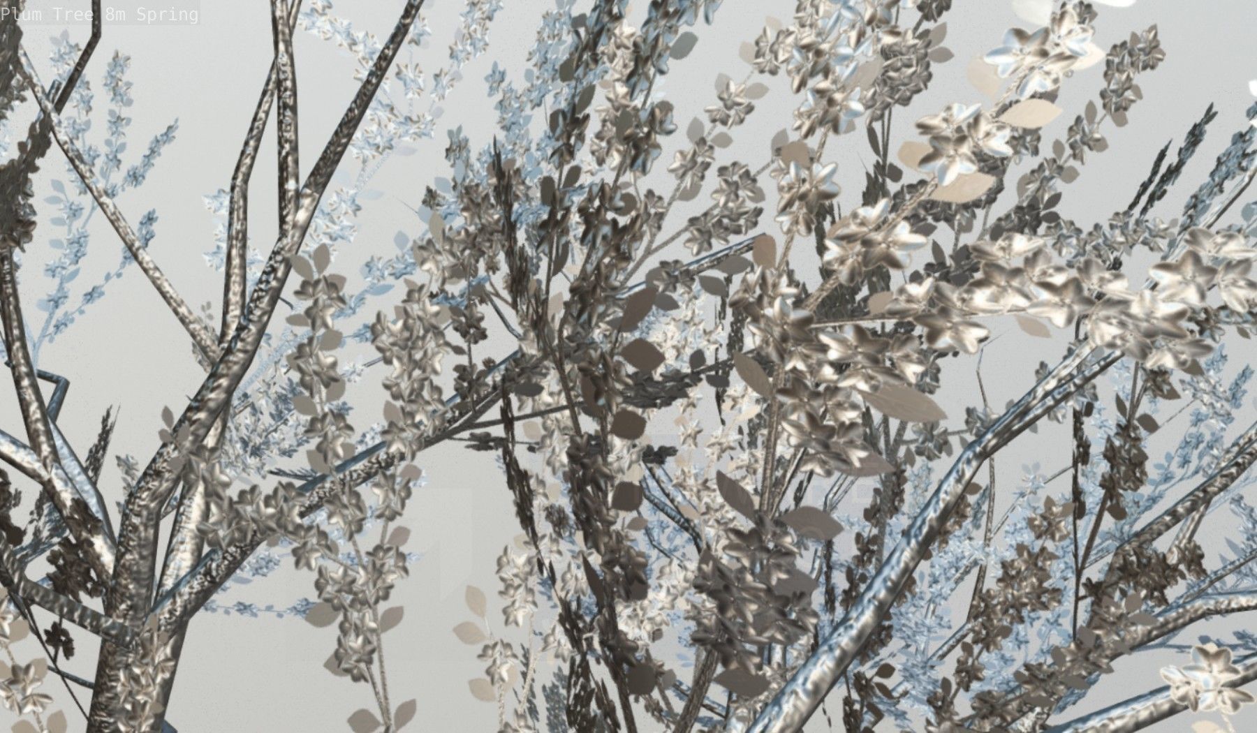 Plum Trees 8m Spring Low-poly 3D model_119