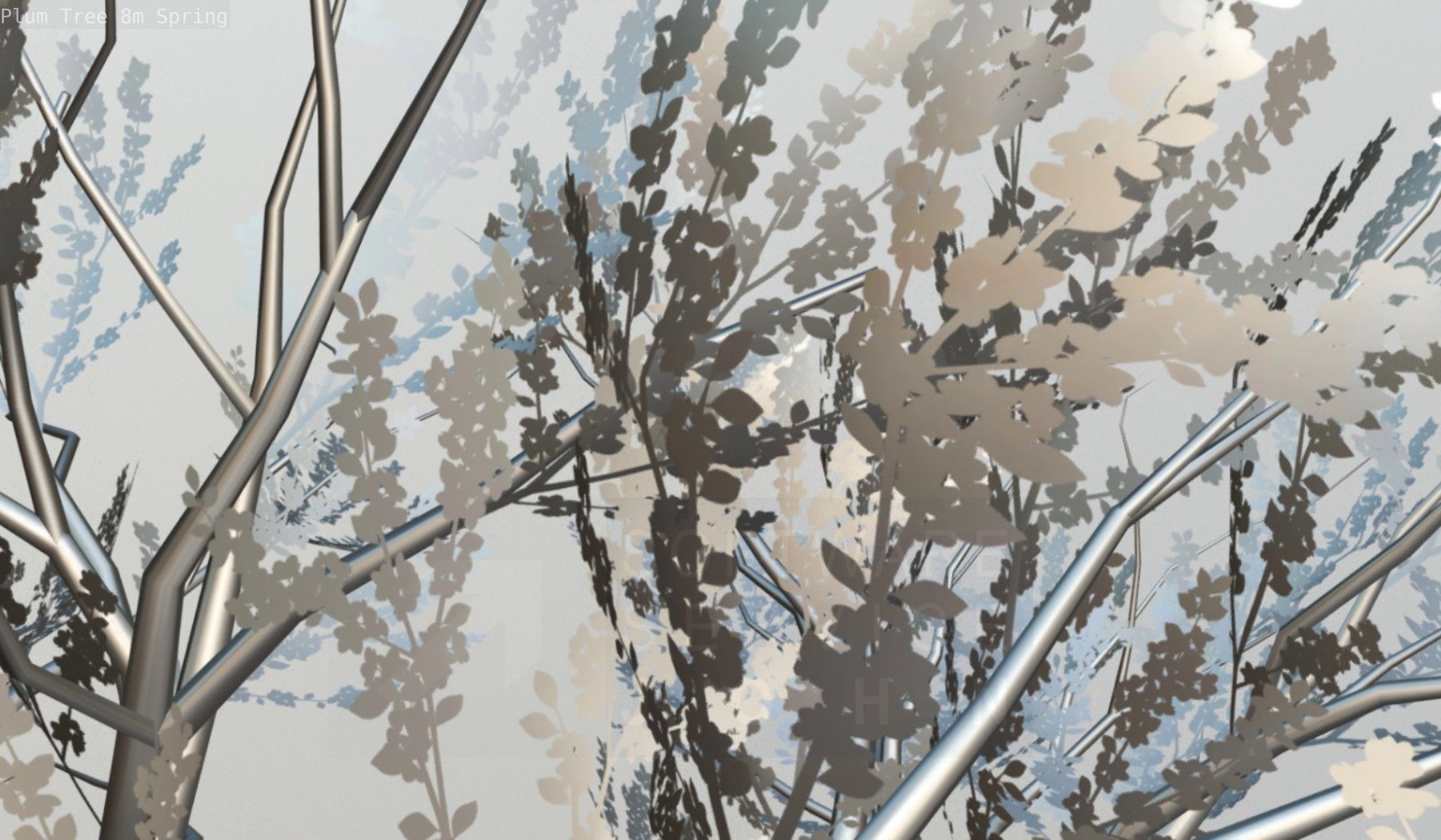 Plum Trees 8m Spring Low-poly 3D model_106