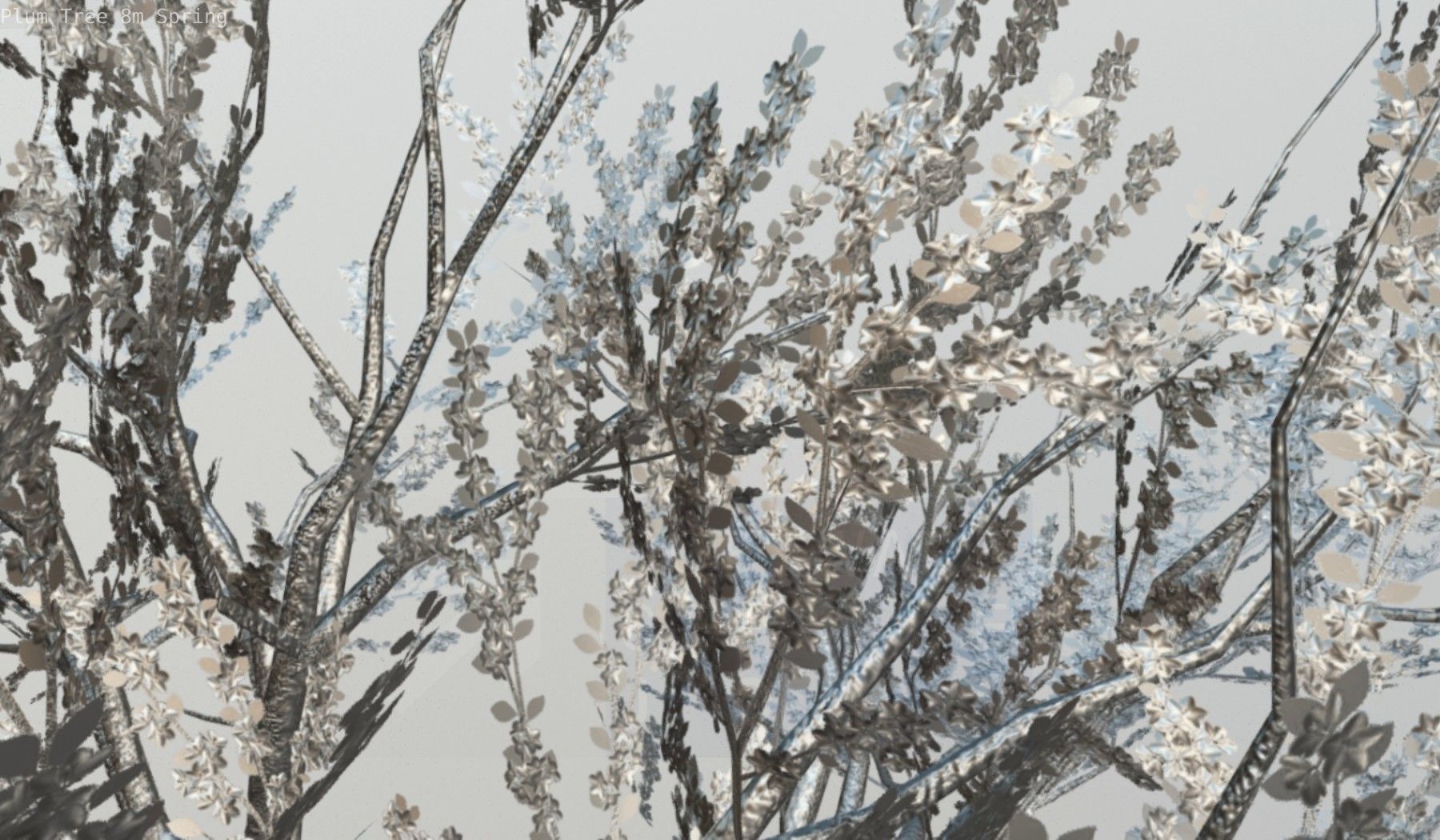 Plum Trees 8m Spring Low-poly 3D model_113