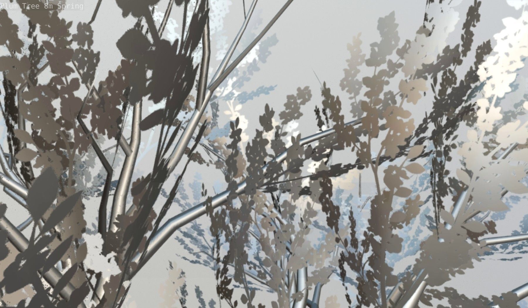 Plum Trees 8m Spring Low-poly 3D model_111