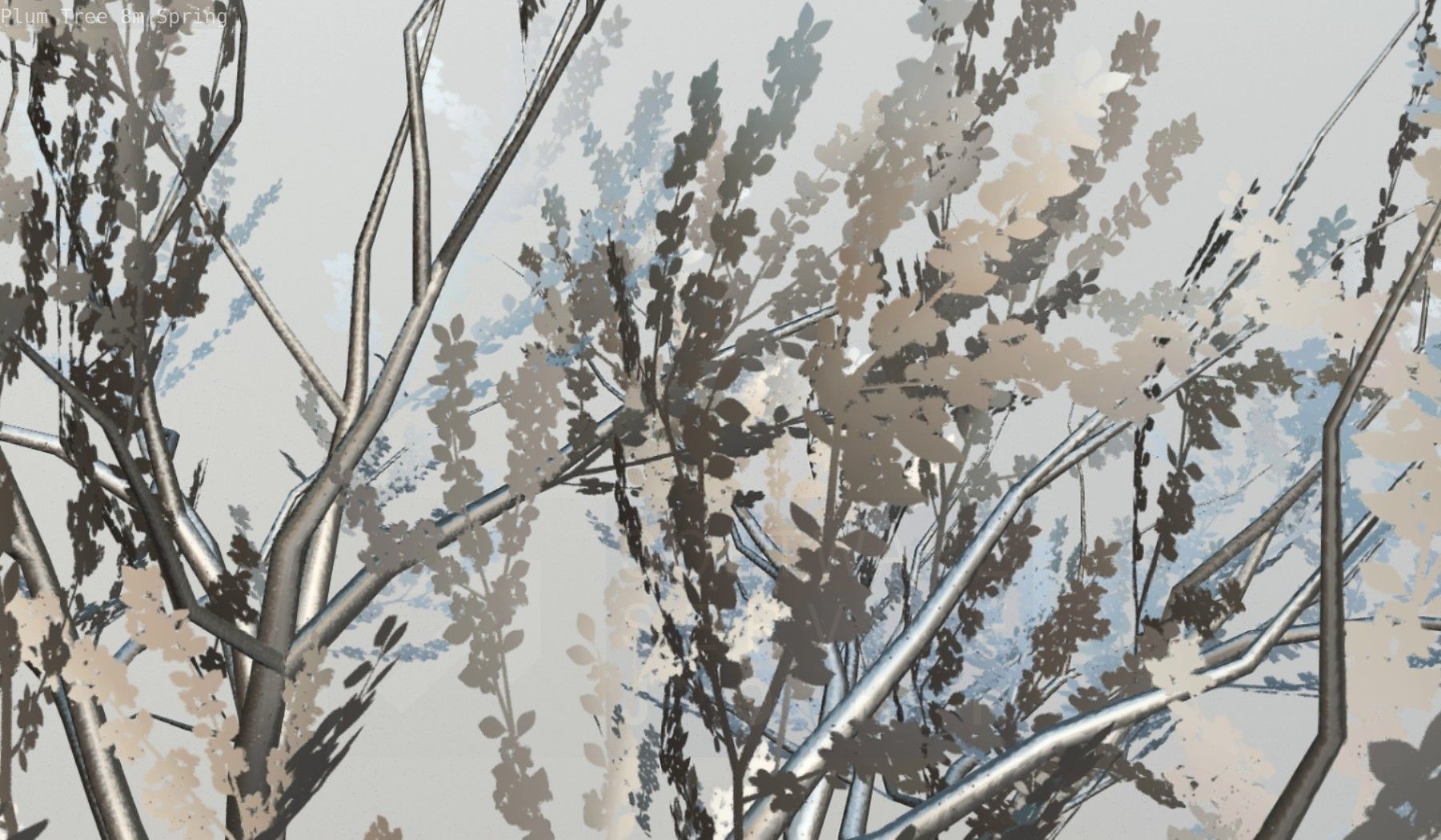 Plum Trees 8m Spring Low-poly 3D model_112