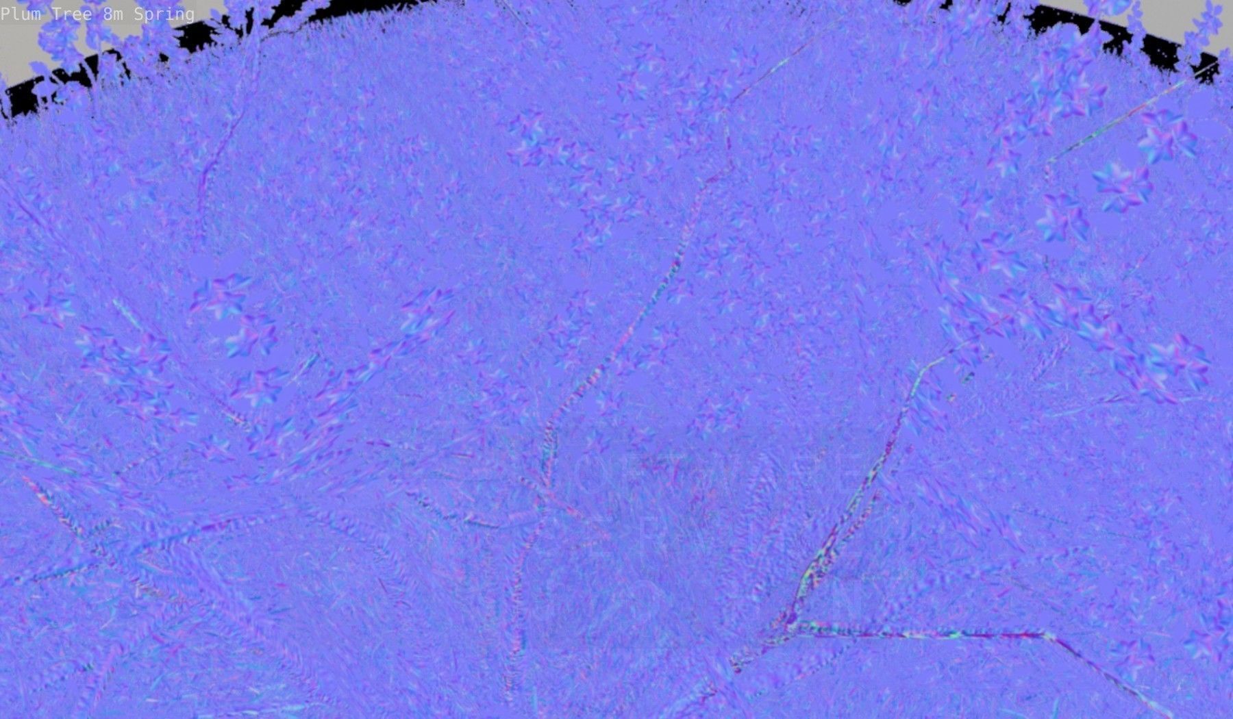 Plum Trees 8m Spring Low-poly 3D model_99