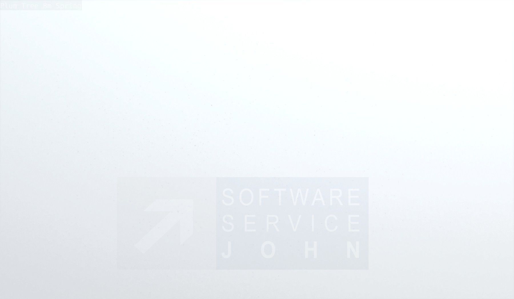 Plum Trees 8m Spring Low-poly 3D model_97