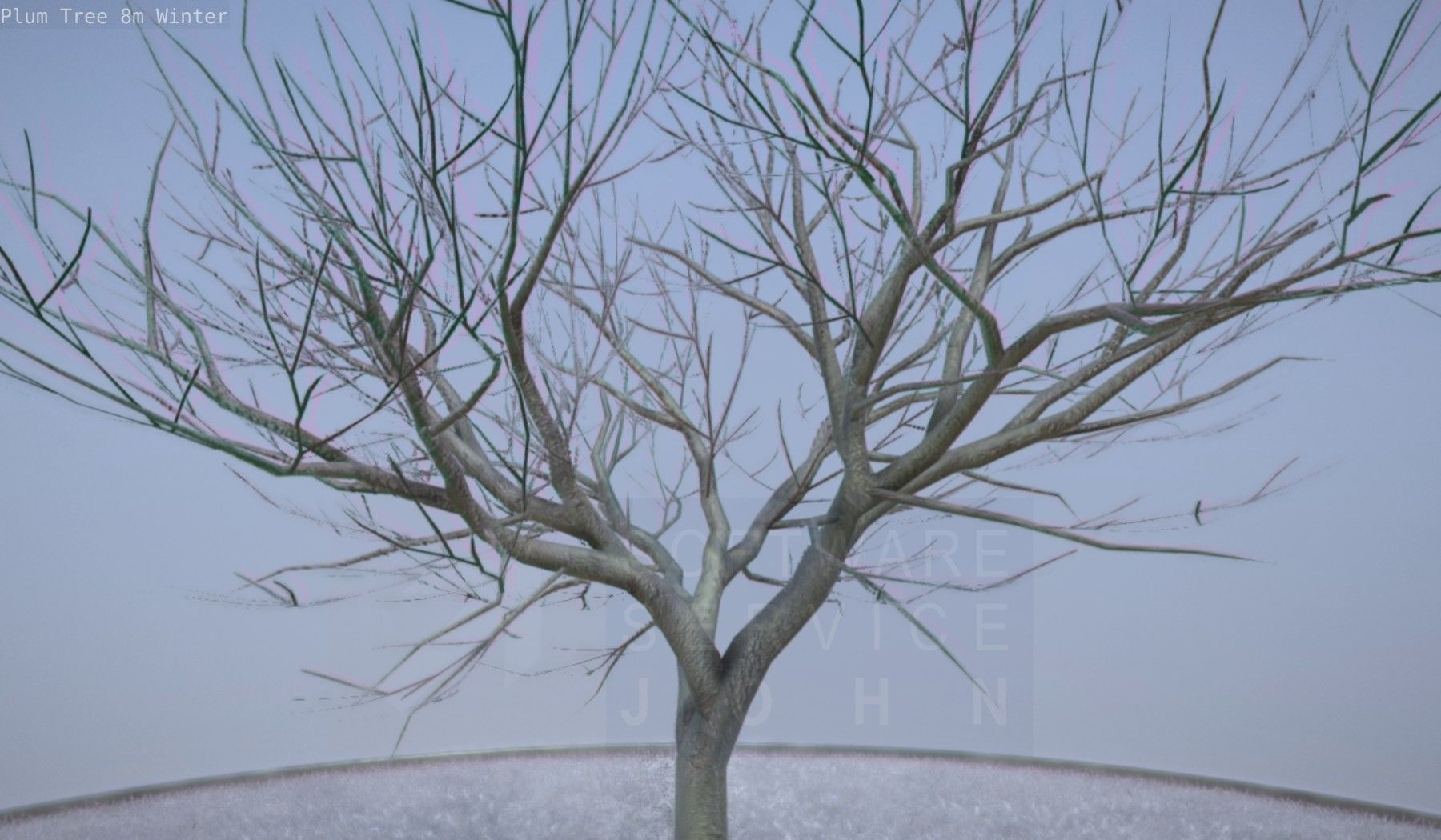 Plum Tree 8m Winter Low-poly 3D model_12