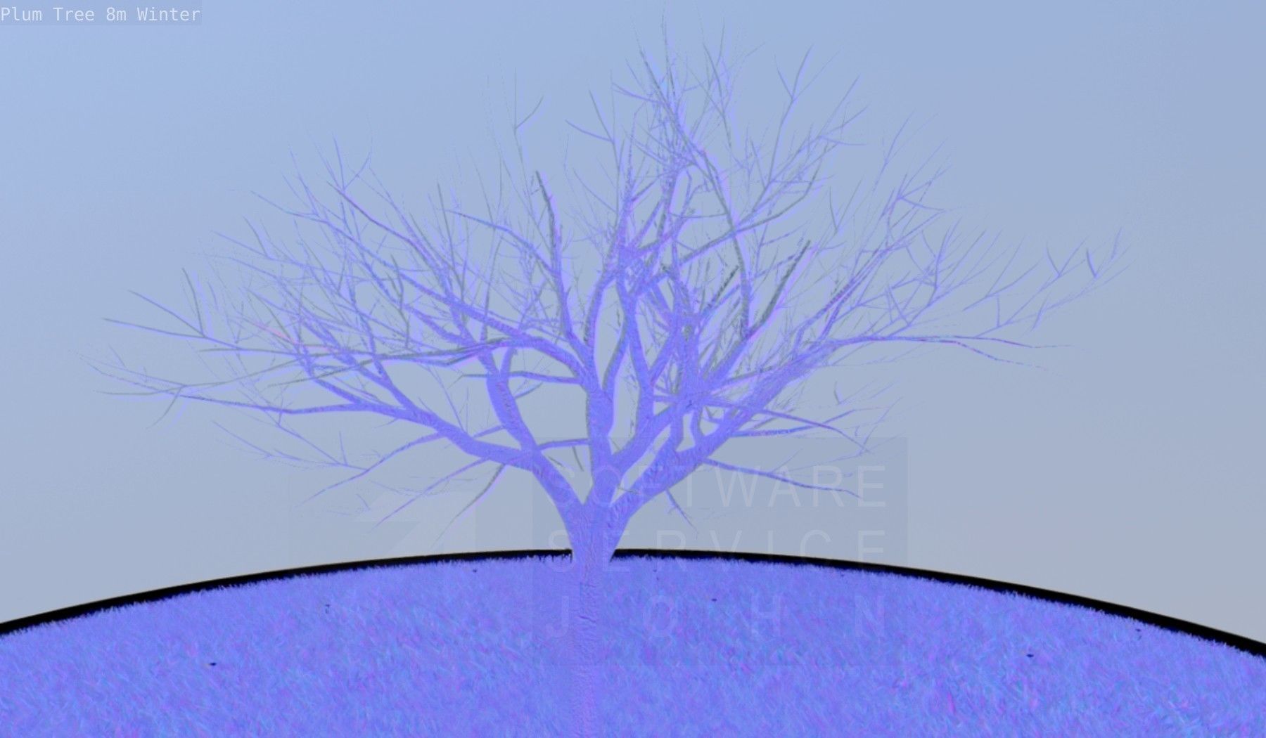 Plum Tree 8m Winter Low-poly 3D model_58