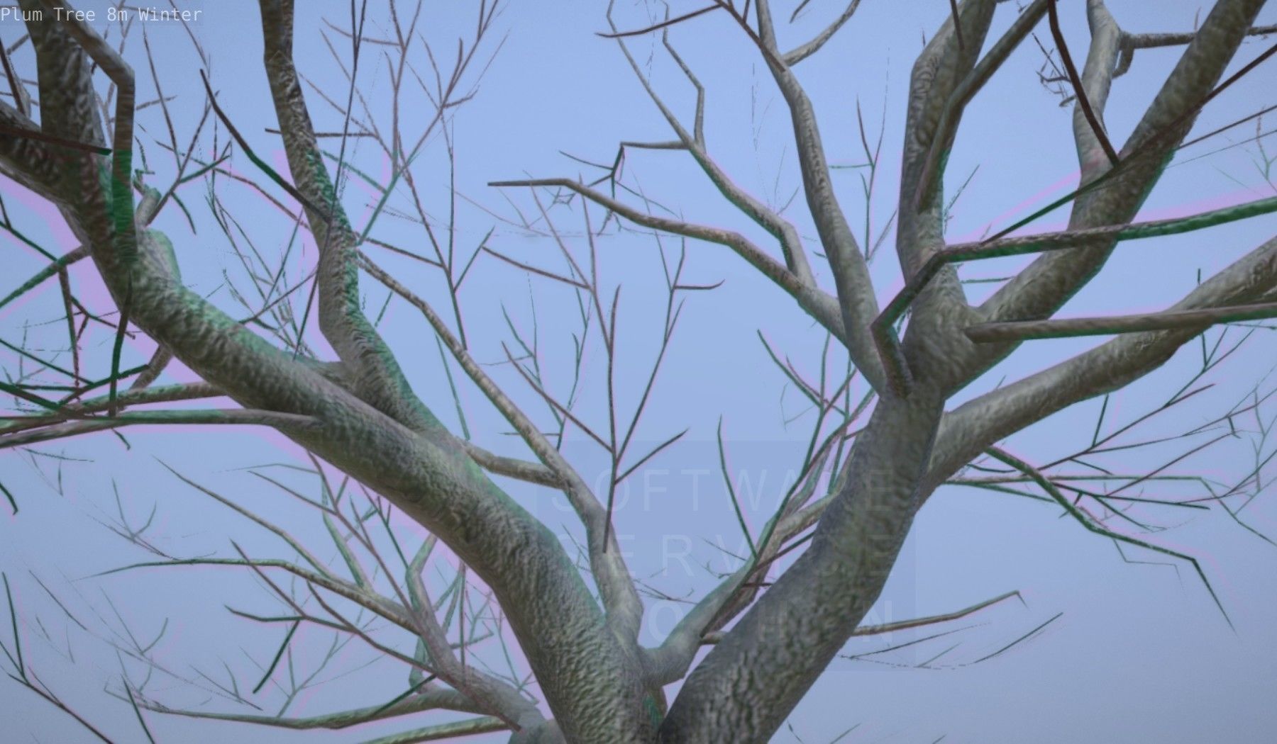 Plum Tree 8m Winter Low-poly 3D model_37