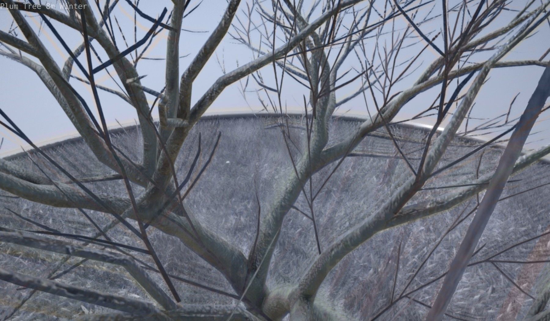 Plum Tree 8m Winter Low-poly 3D model_31