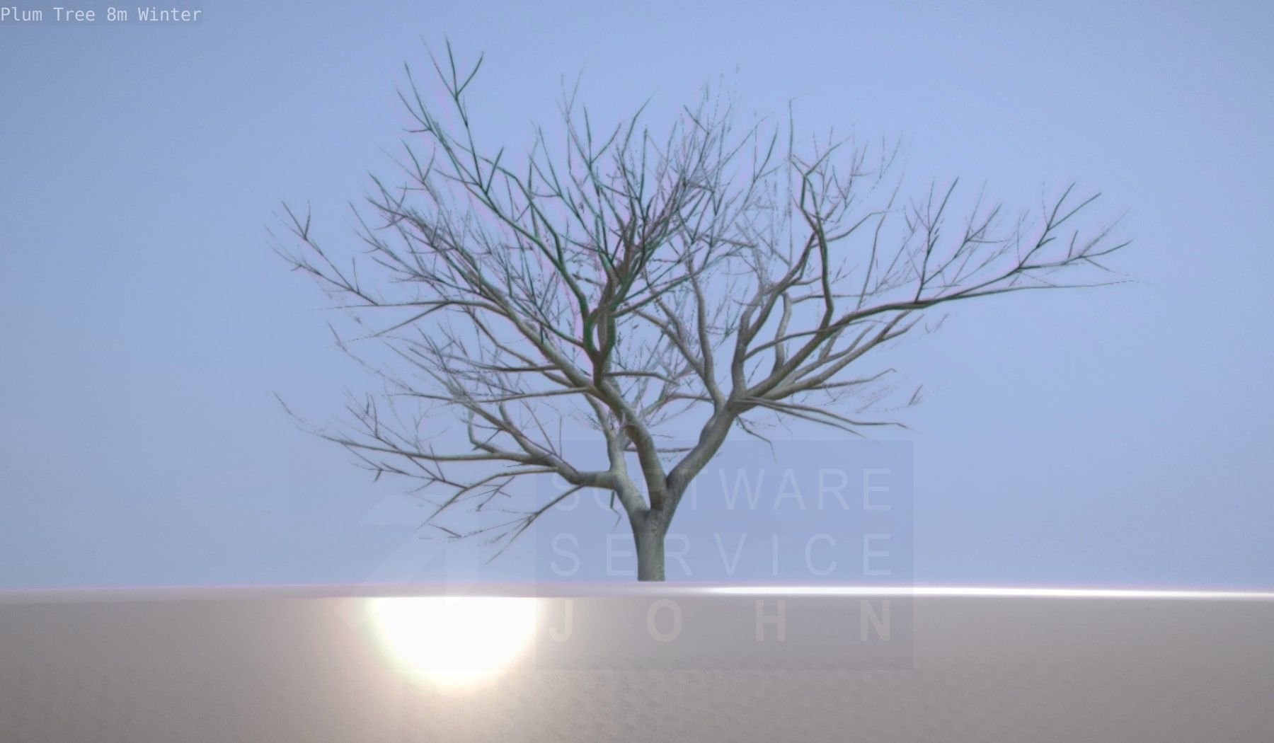Plum Tree 8m Winter Low-poly 3D model_26