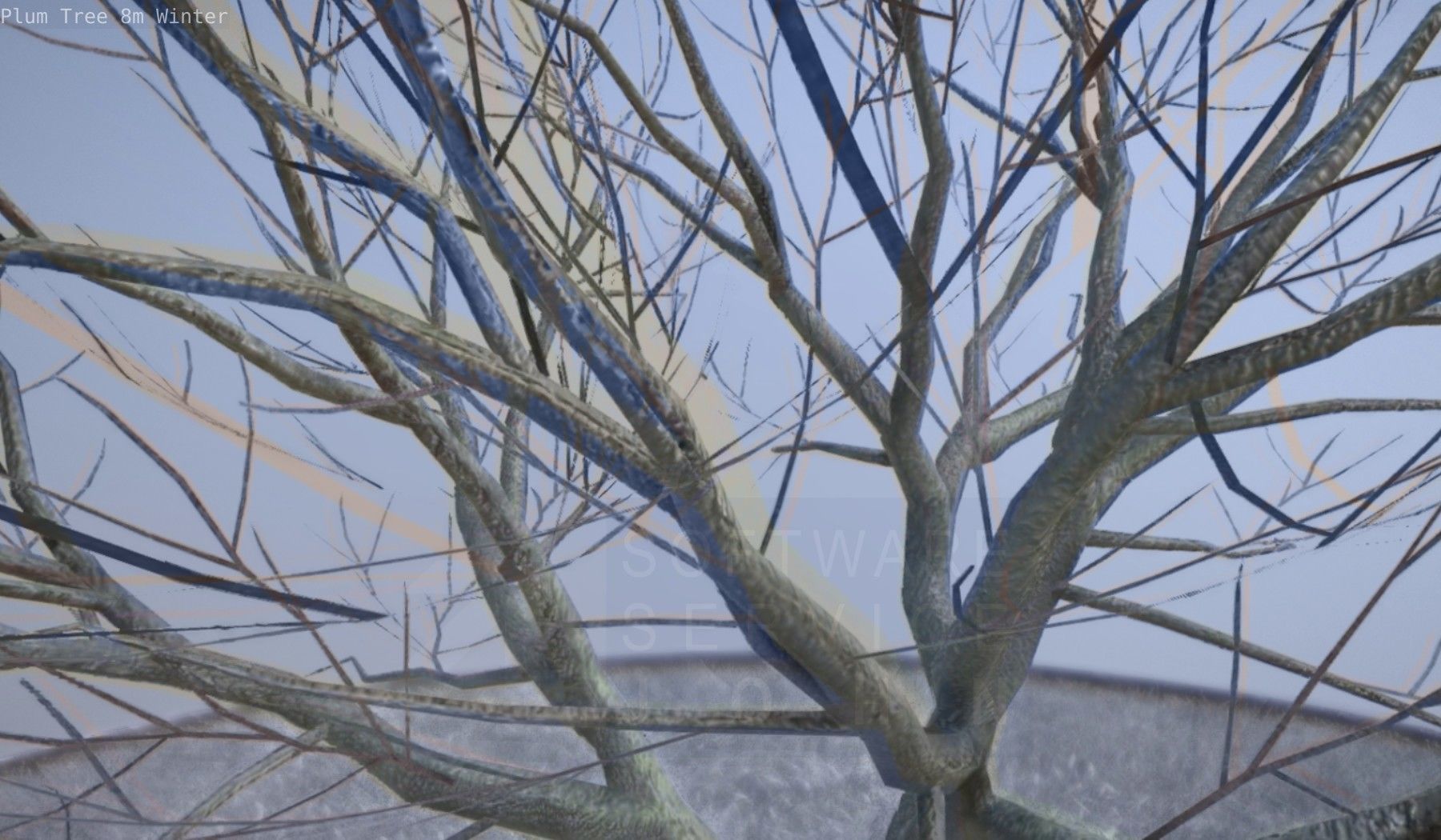 Plum Tree 8m Winter Low-poly 3D model_35