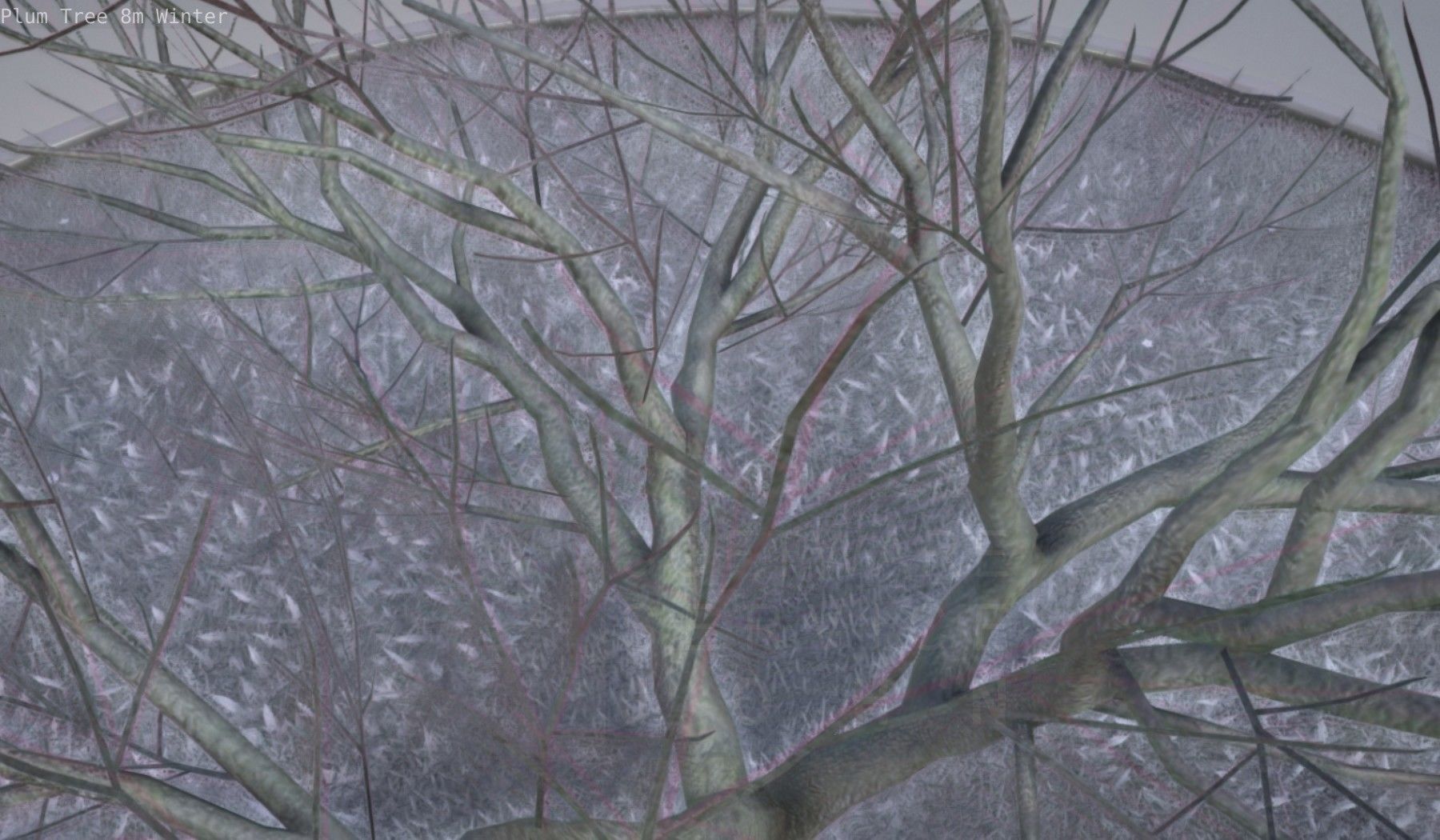 Plum Tree 8m Winter Low-poly 3D model_33