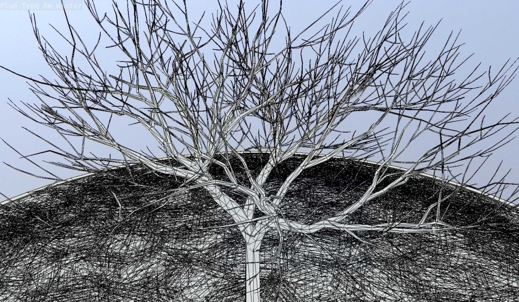 Plum Tree 8m Winter Low-poly 3D model_52