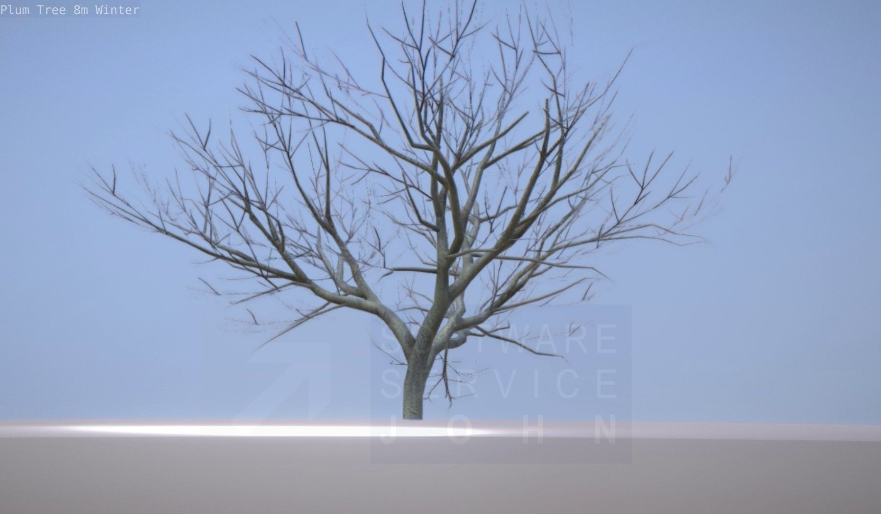 Plum Tree 8m Winter Low-poly 3D model_25