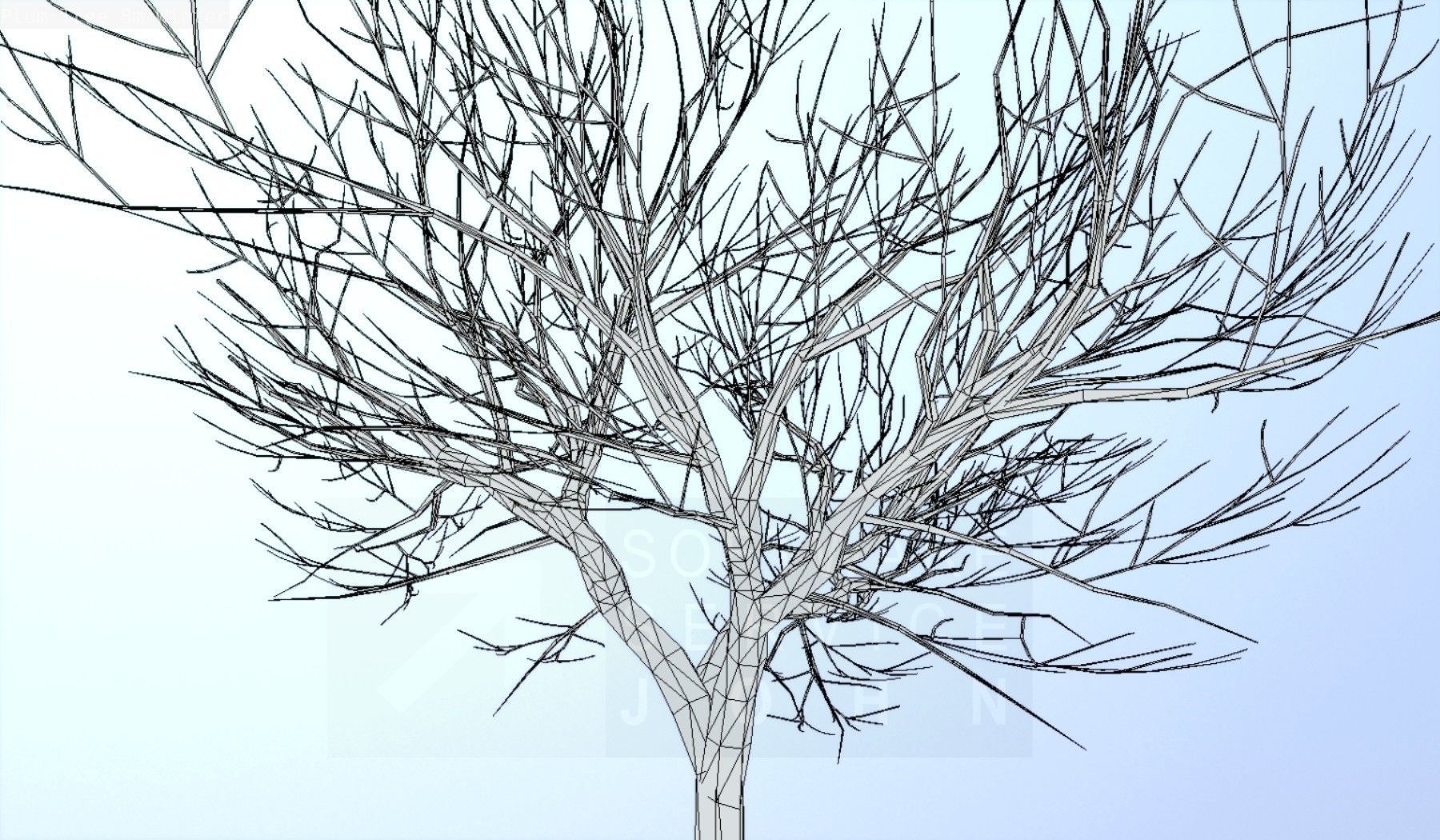 Plum Tree 8m Winter Low-poly 3D model_50