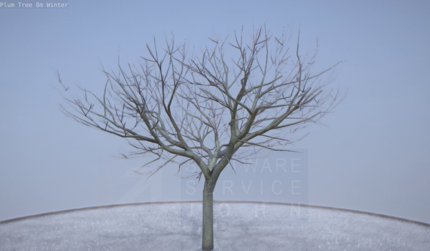 Plum Tree 8m Winter Low-poly 3D model_2