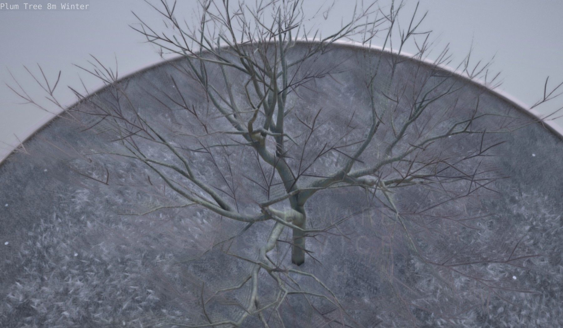 Plum Tree 8m Winter Low-poly 3D model_24