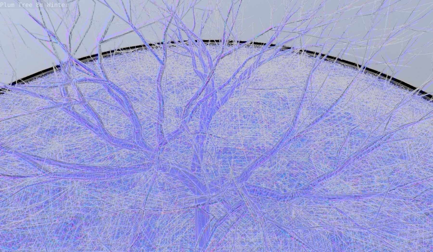 Plum Tree 8m Winter Low-poly 3D model_60