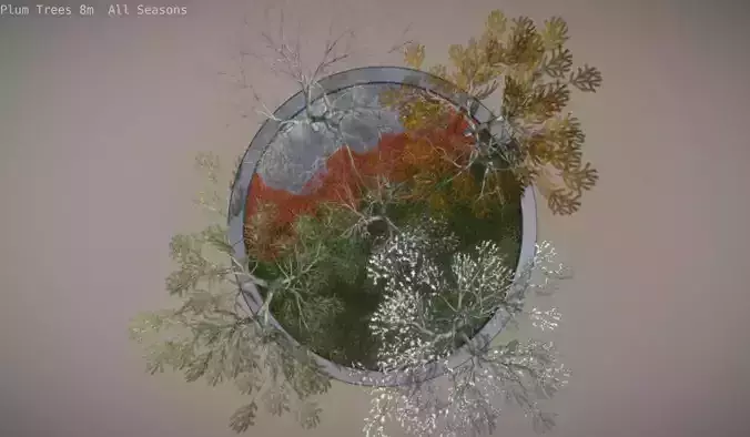 Plum Trees 8m All Seasons