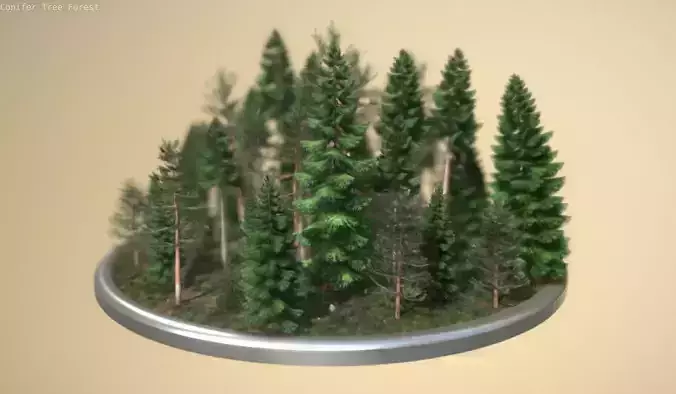 Coniferous Forest - Pines And Spruce Scene