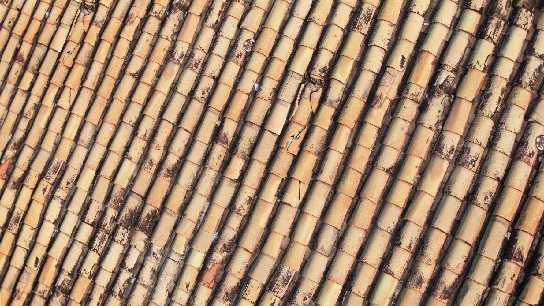 Bundle 01 - Company Up to 32k Texture_36