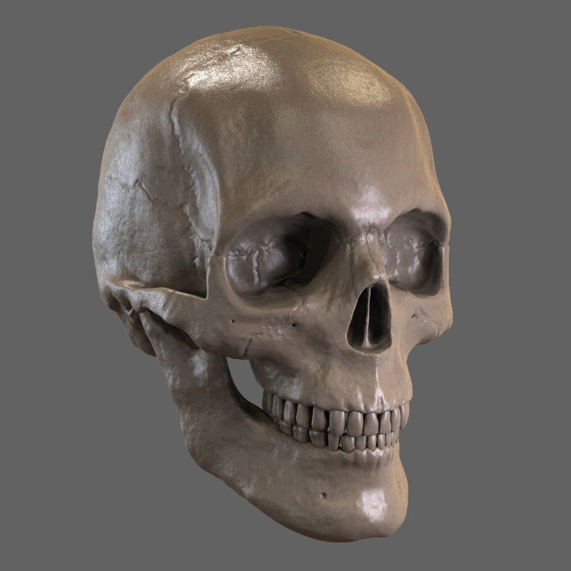 Skull STL