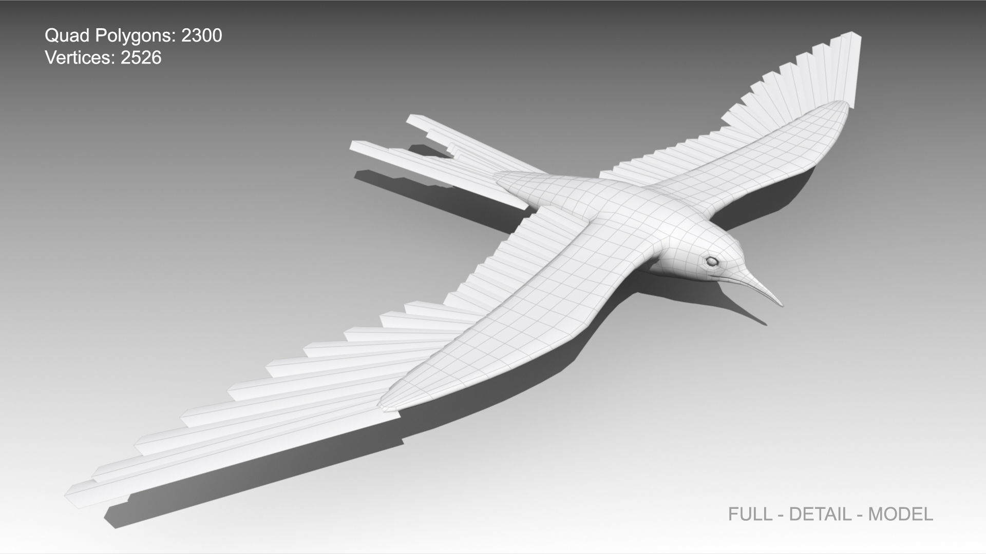 Arctic Tern Low-poly 3D model_12