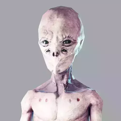 Alien Scout Low-poly 3D model