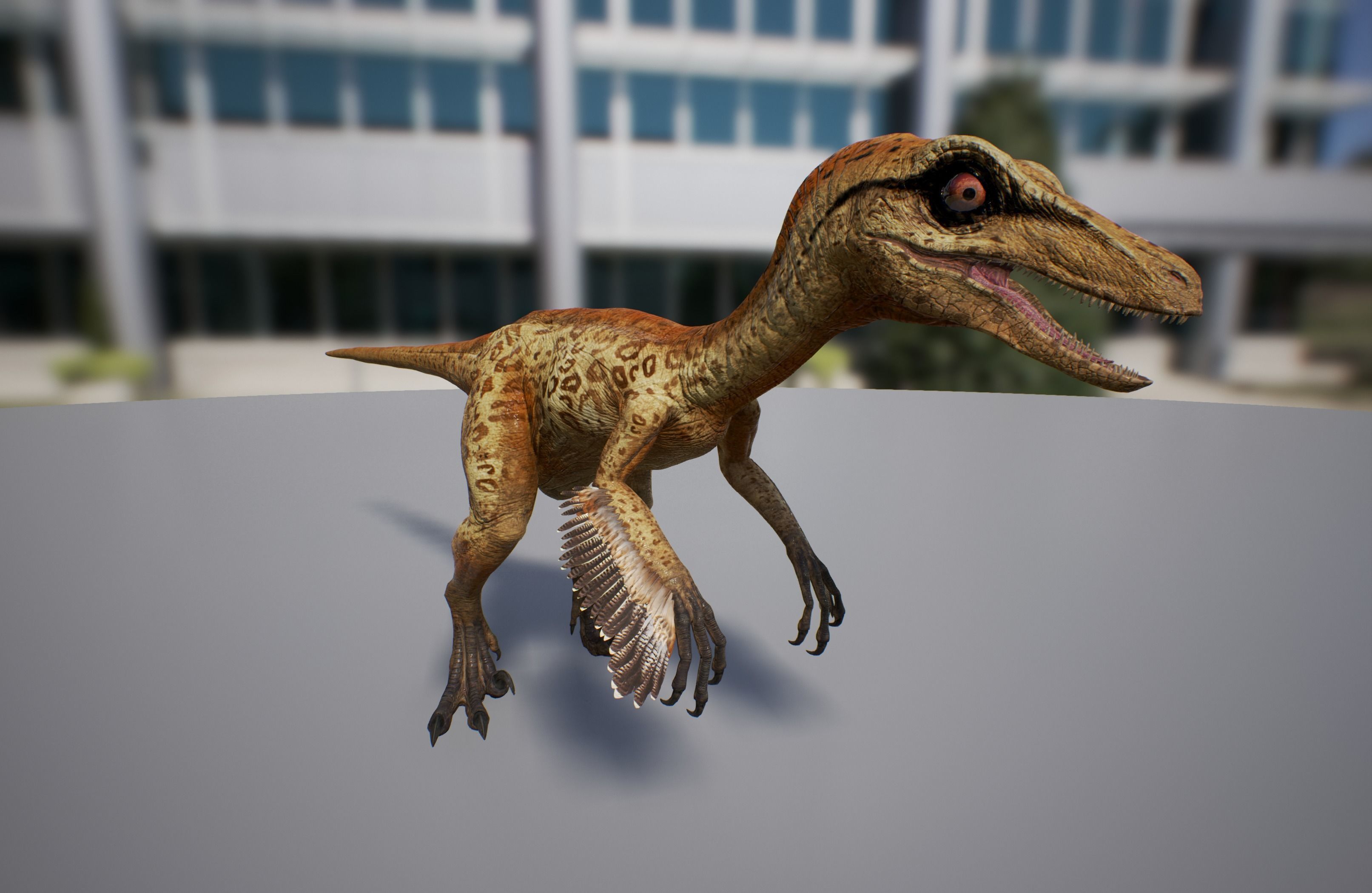 Troodon dinosaur Low-poly 3D model_10