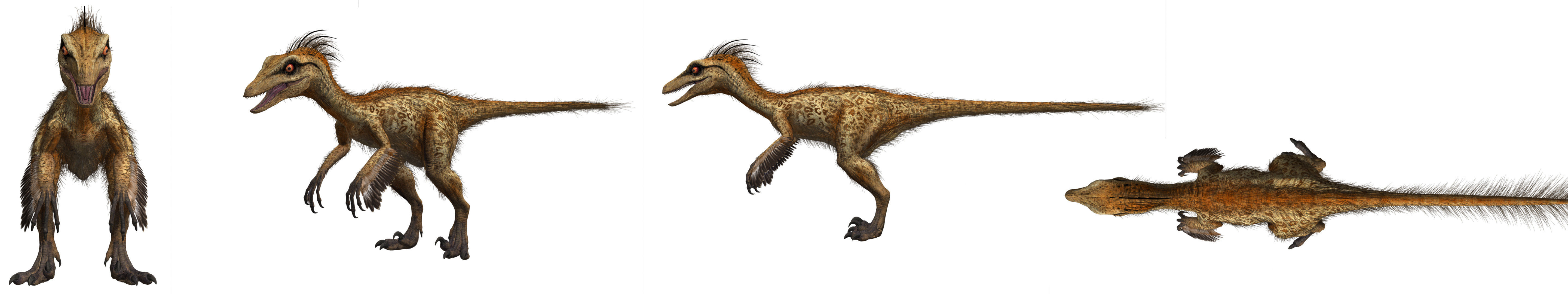 Troodon dinosaur Low-poly 3D model_12