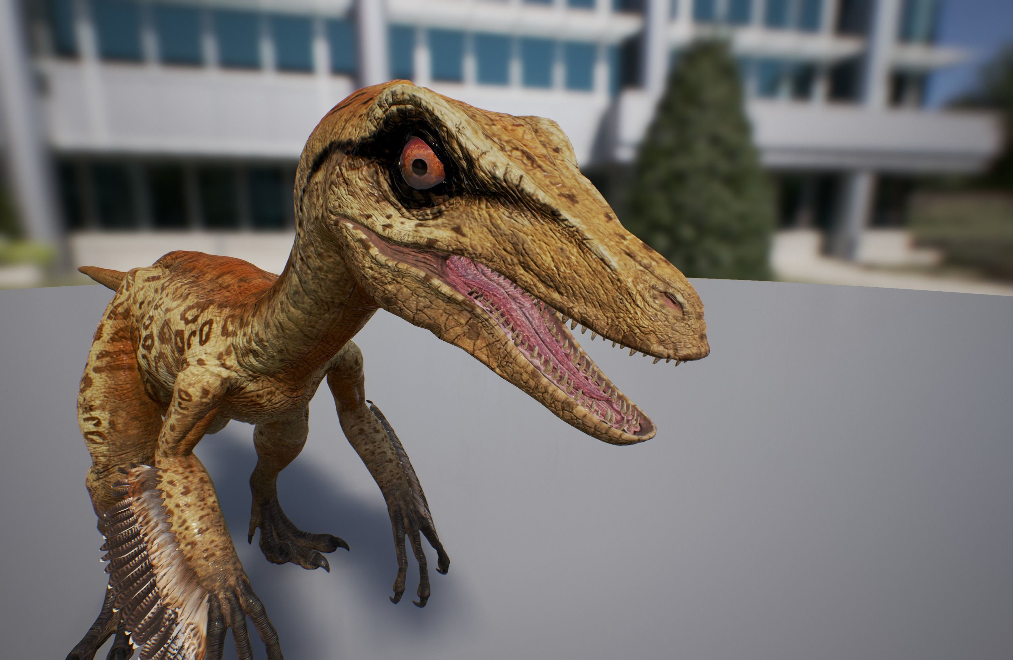 Troodon dinosaur Low-poly 3D model_11
