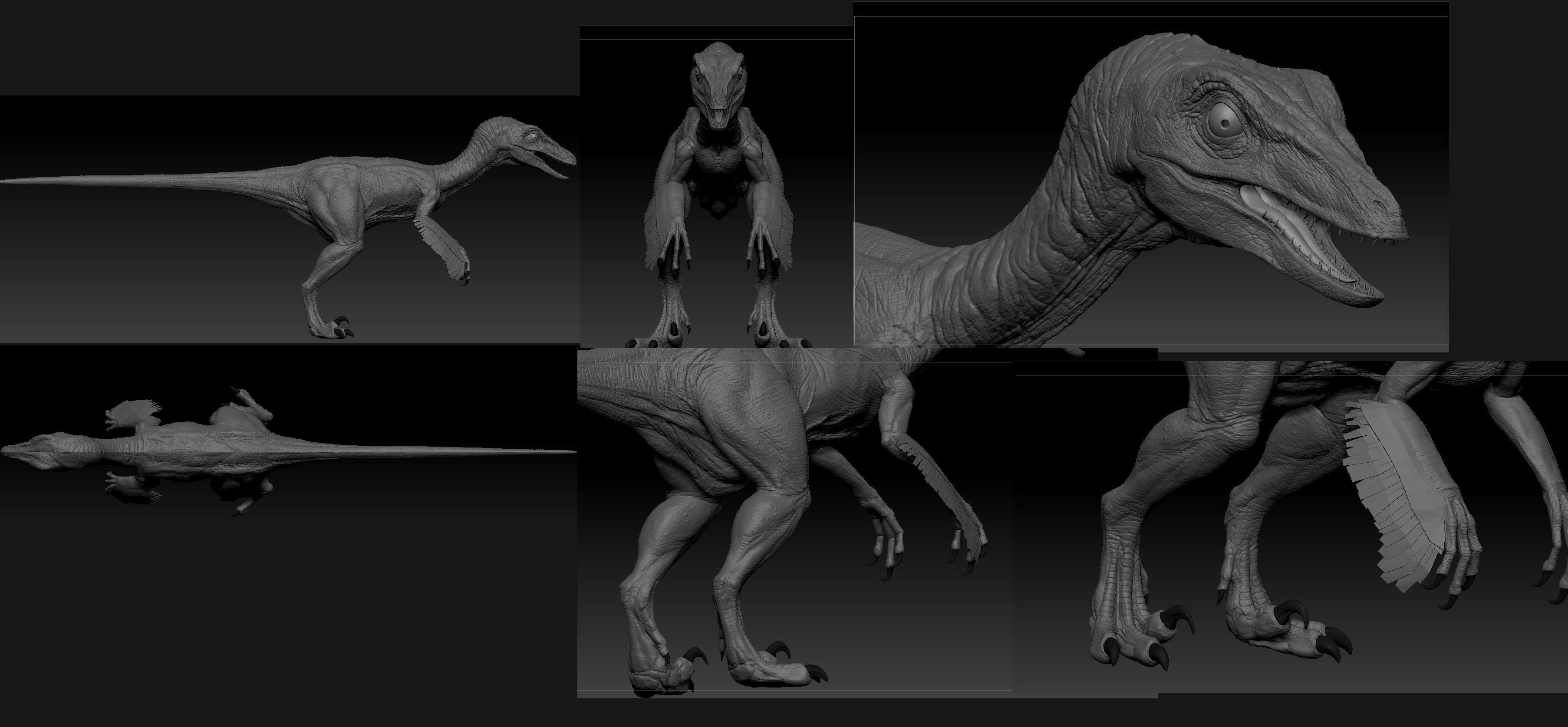 Troodon dinosaur Low-poly 3D model_13