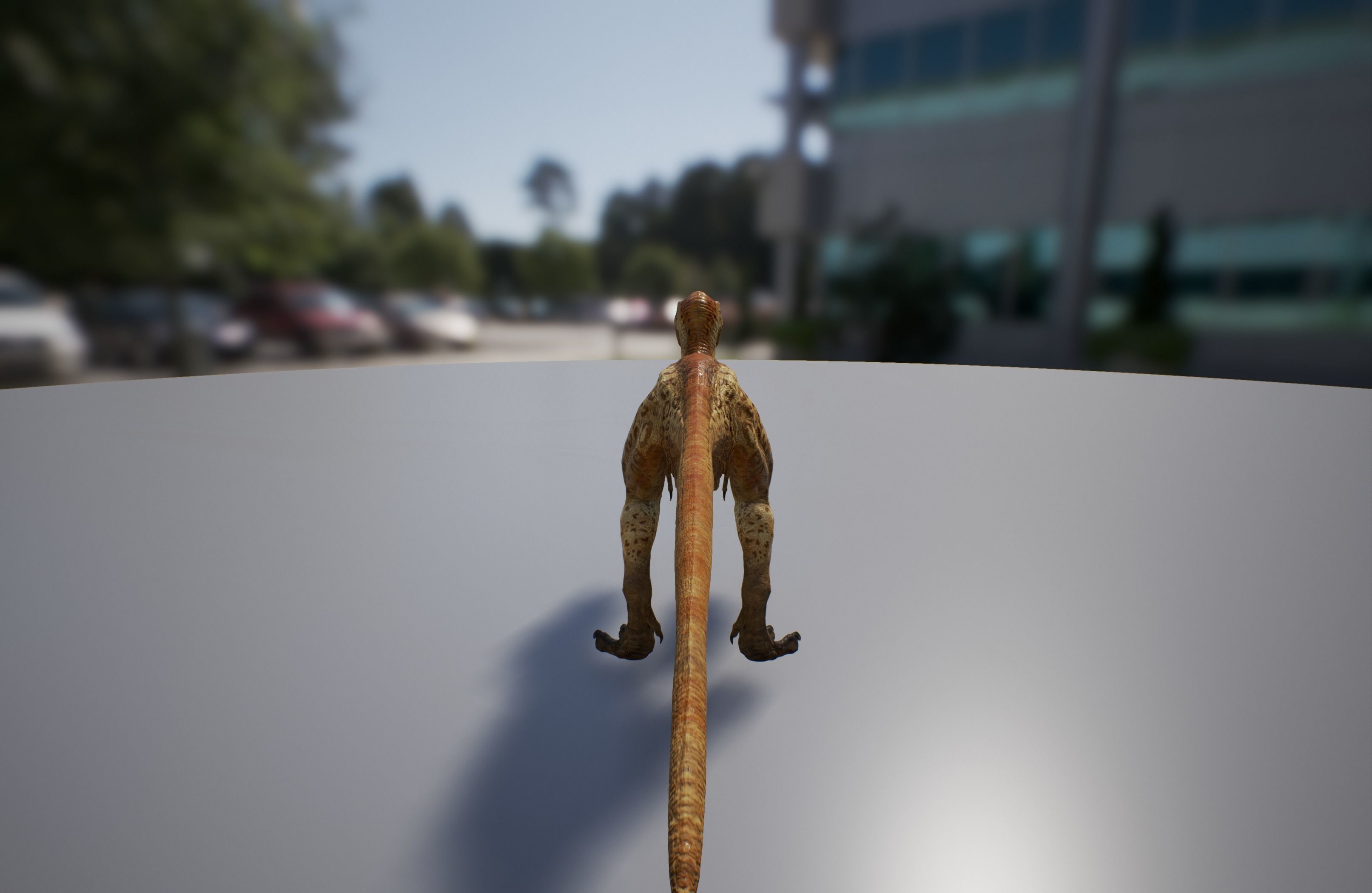 Troodon dinosaur Low-poly 3D model_2