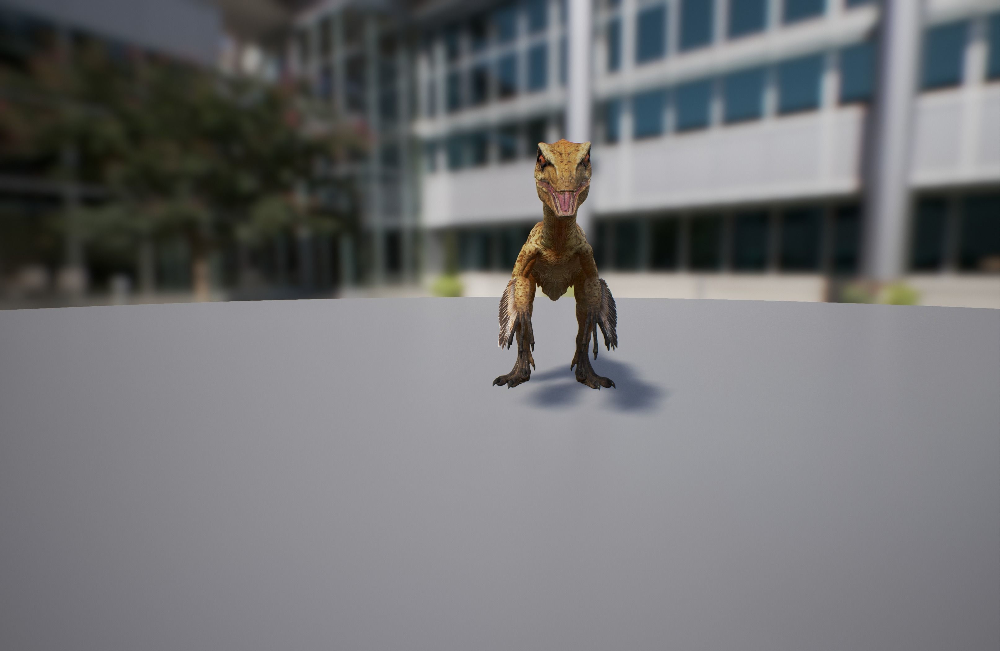 Troodon dinosaur Low-poly 3D model_1