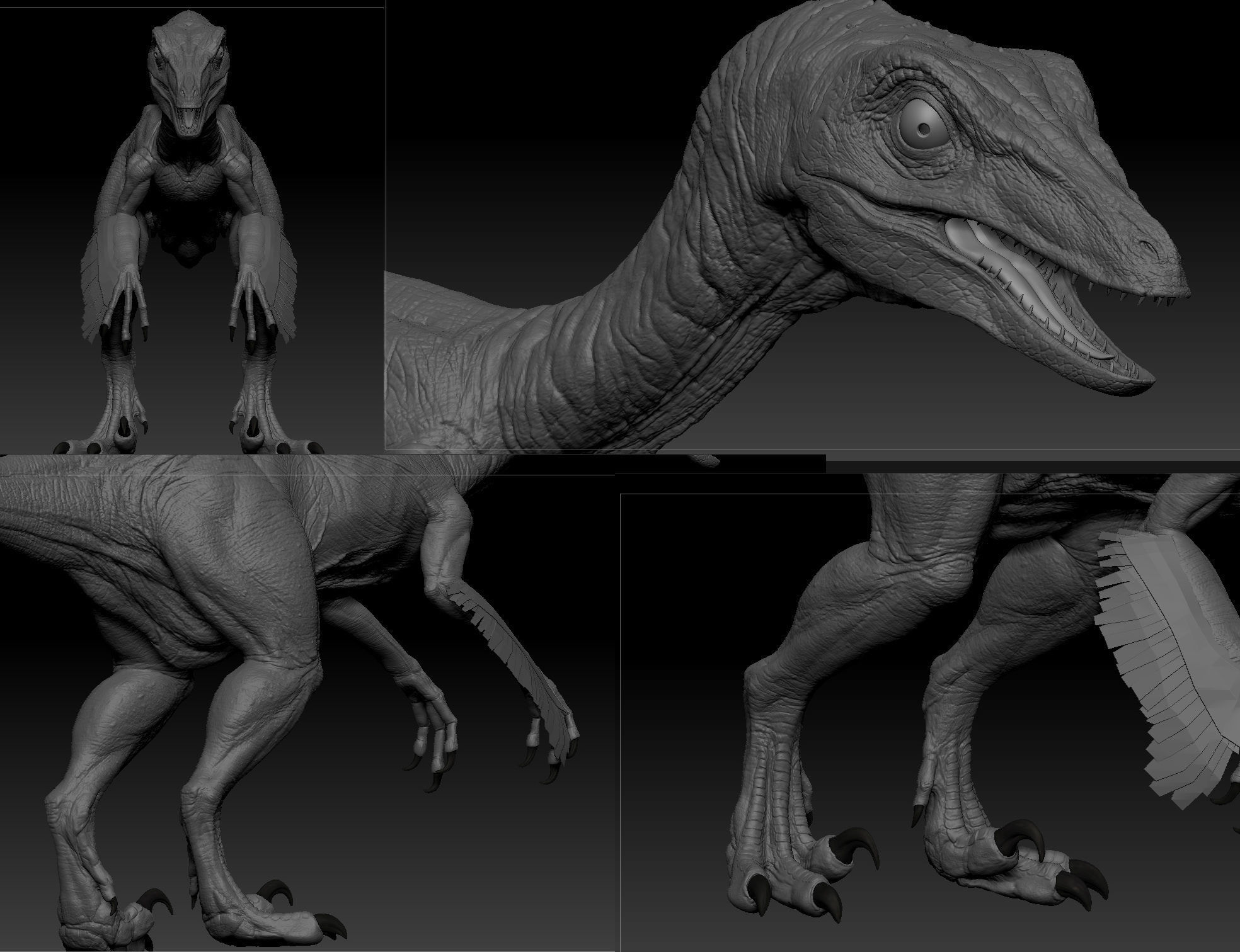 Troodon dinosaur Low-poly 3D model_9
