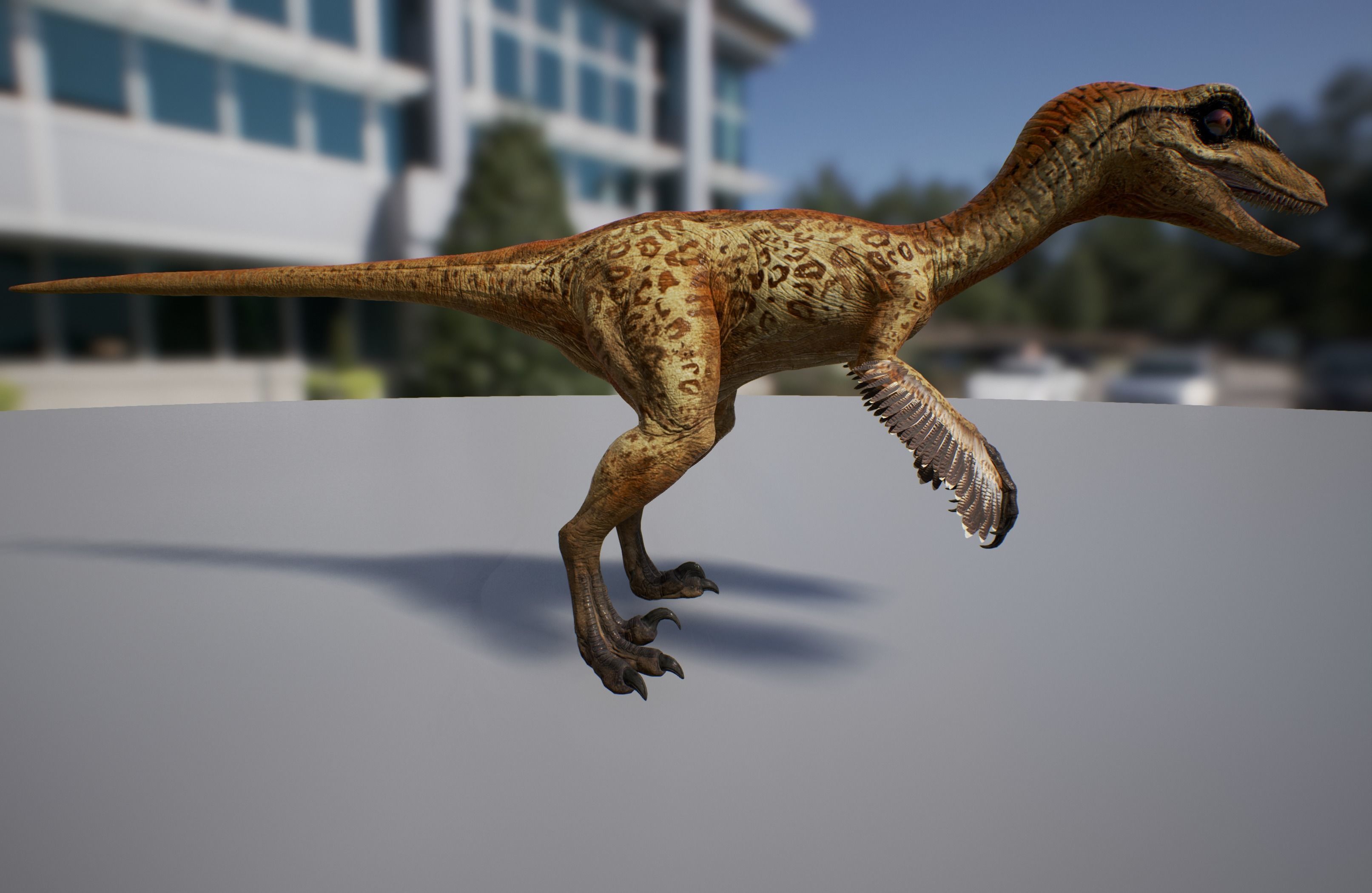Troodon dinosaur Low-poly 3D model_7