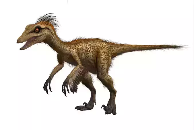 Troodon dinosaur