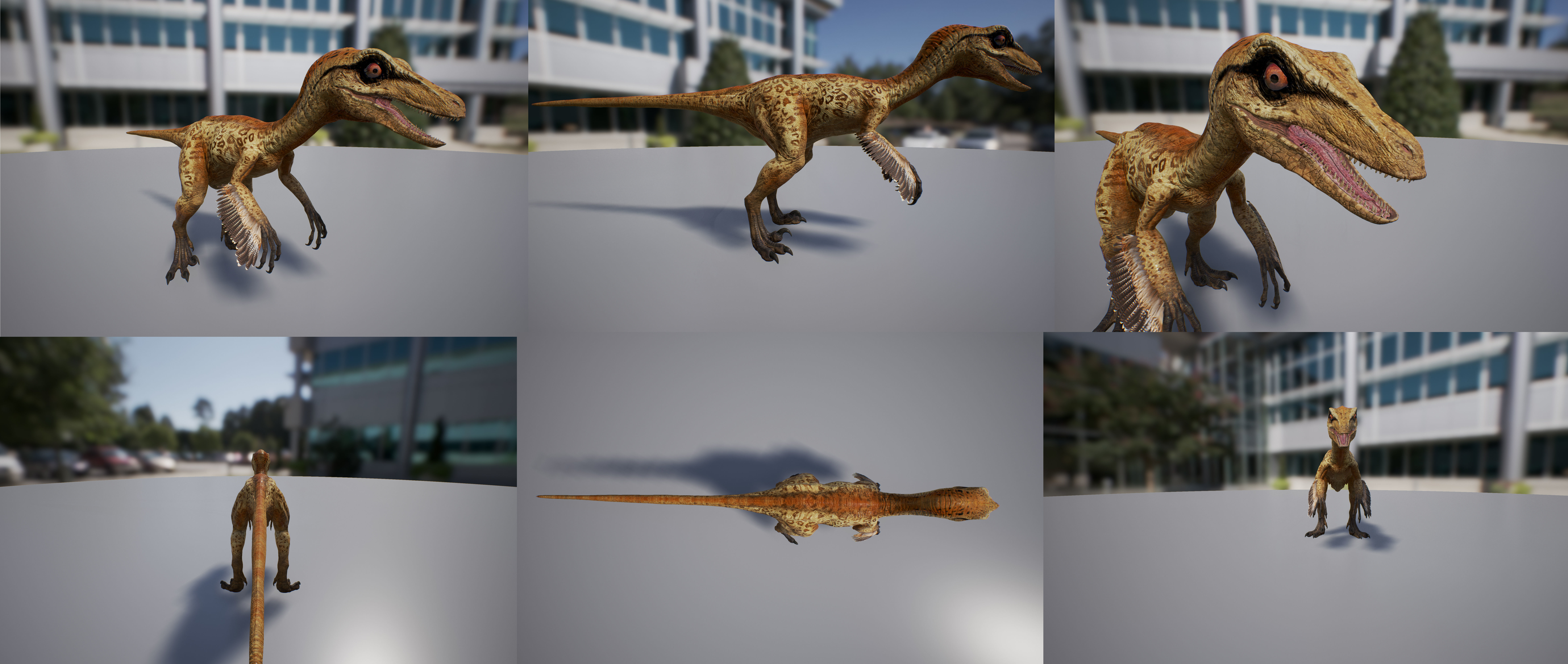 Troodon dinosaur Low-poly 3D model_14