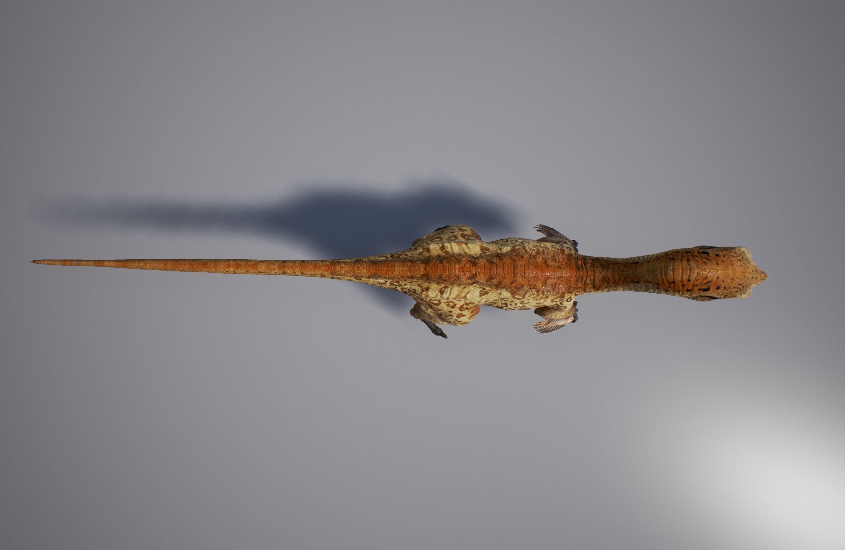 Troodon dinosaur Low-poly 3D model_3