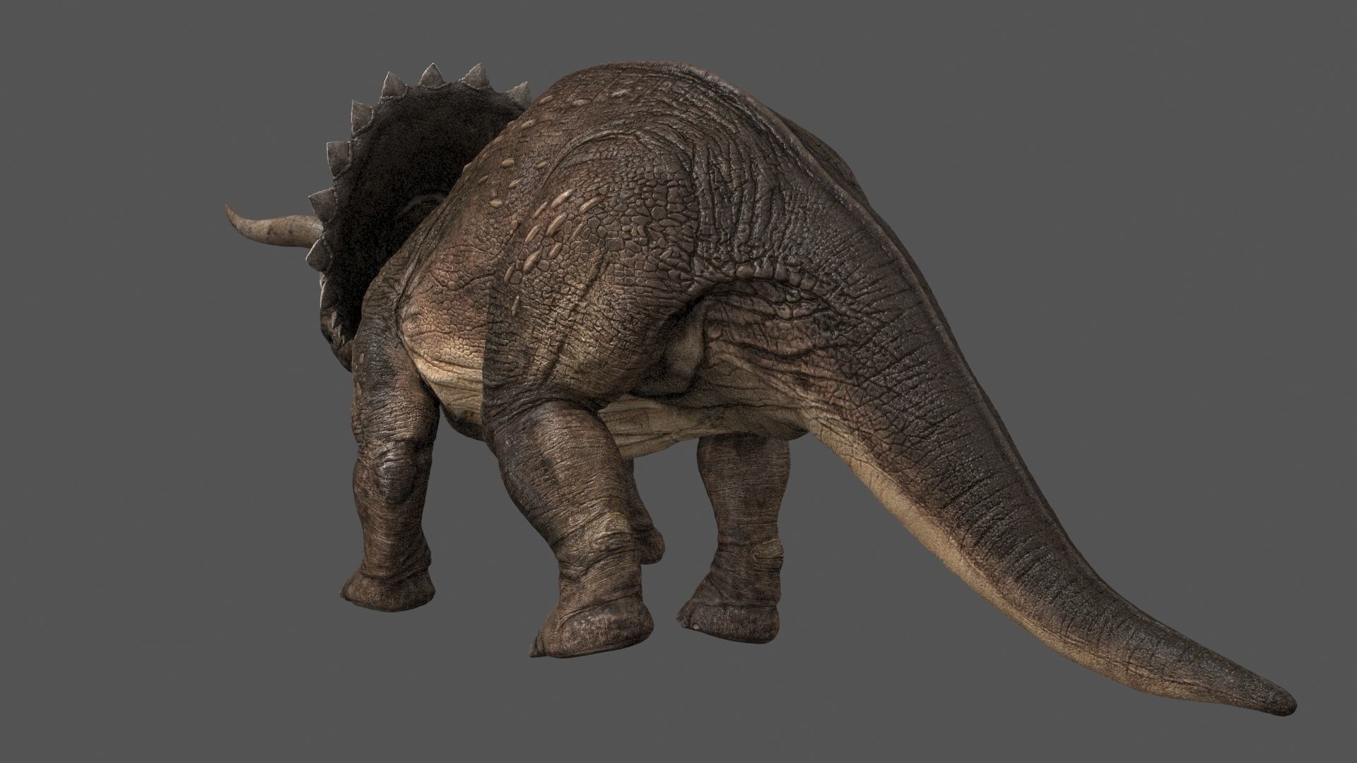 Triceratops - animations Low-poly 3D model_2