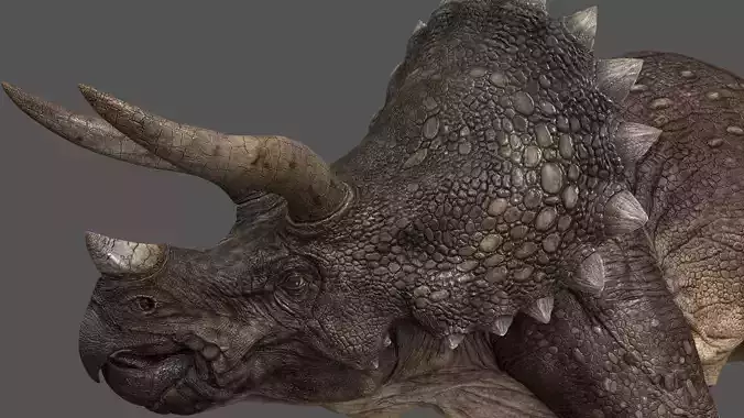 Triceratops - animations Low-poly 3D model